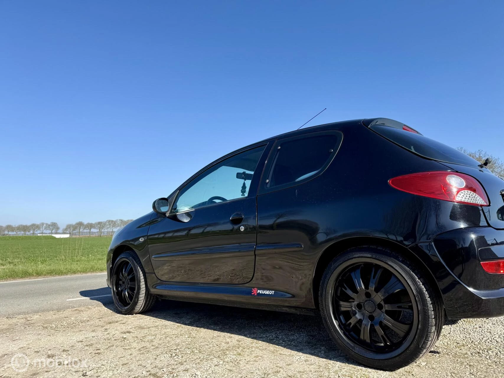 Hoofdafbeelding Peugeot 206