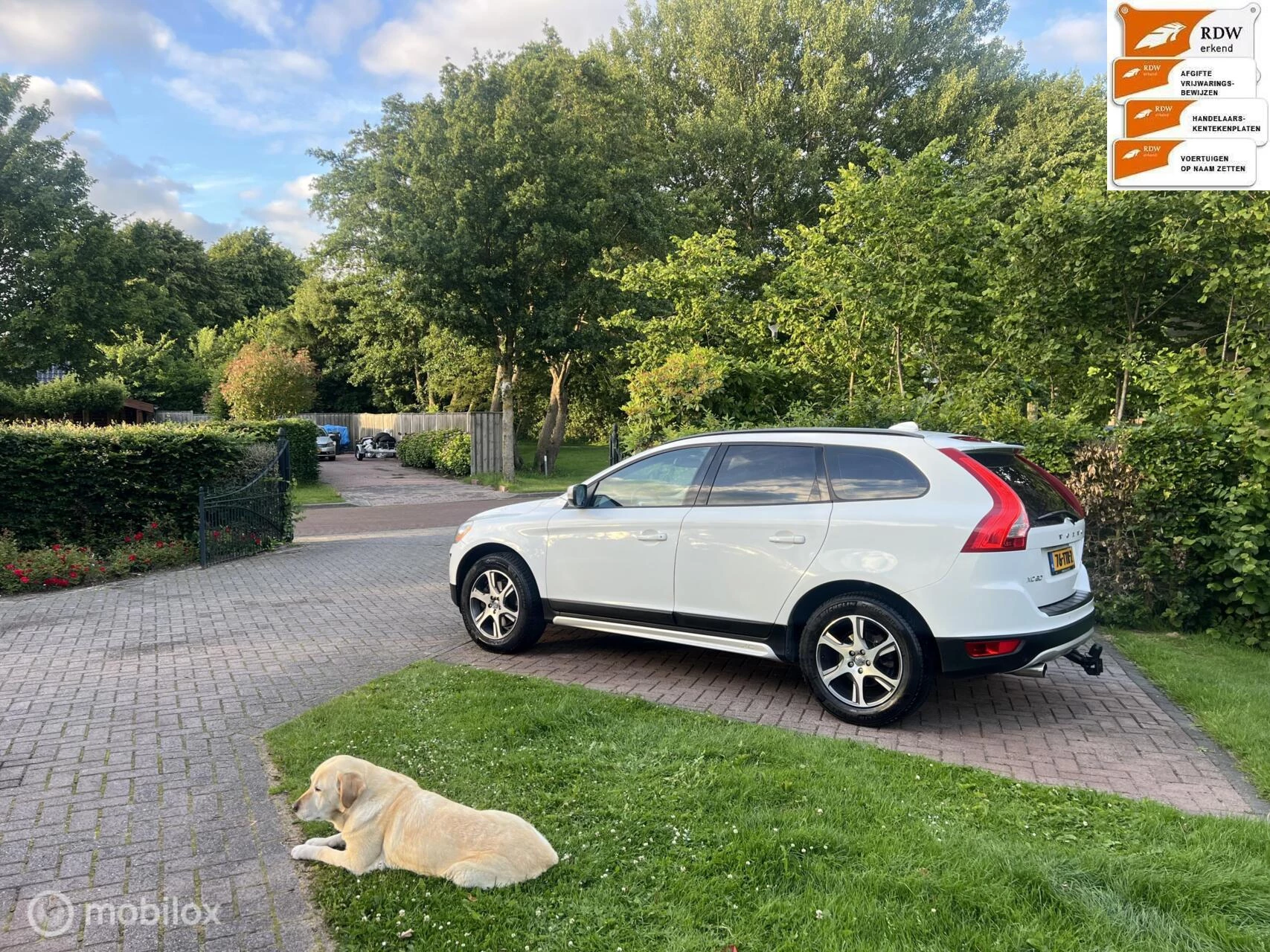 Hoofdafbeelding Volvo XC60