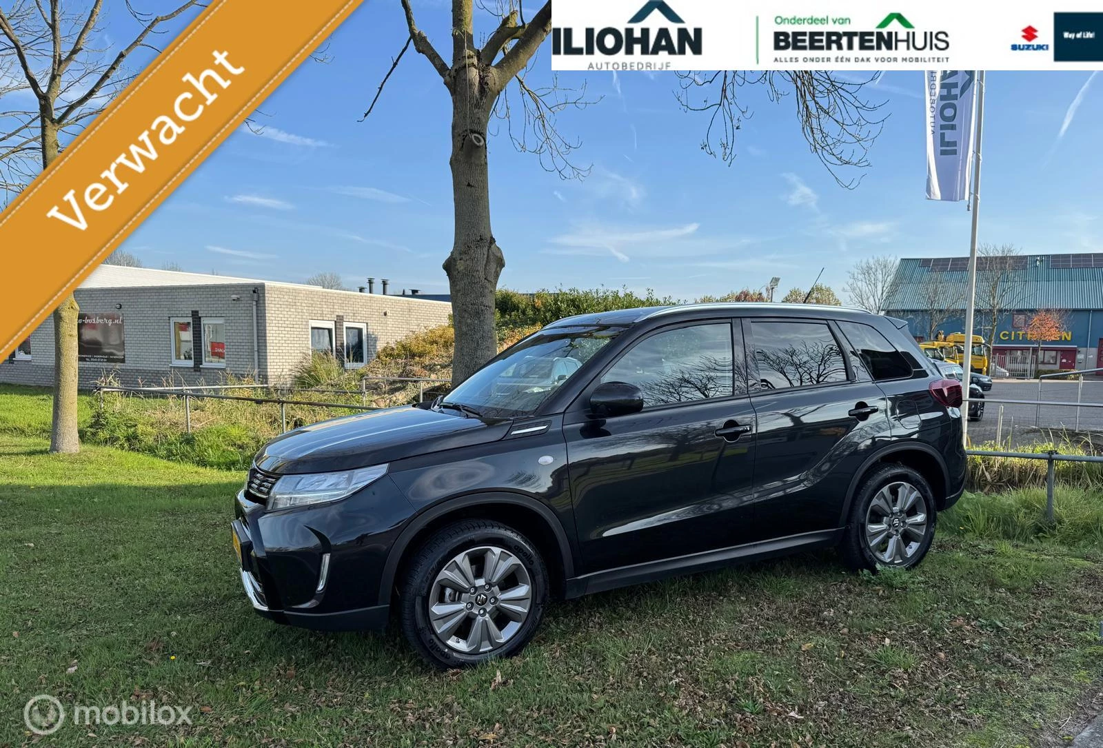 Hoofdafbeelding Suzuki Vitara