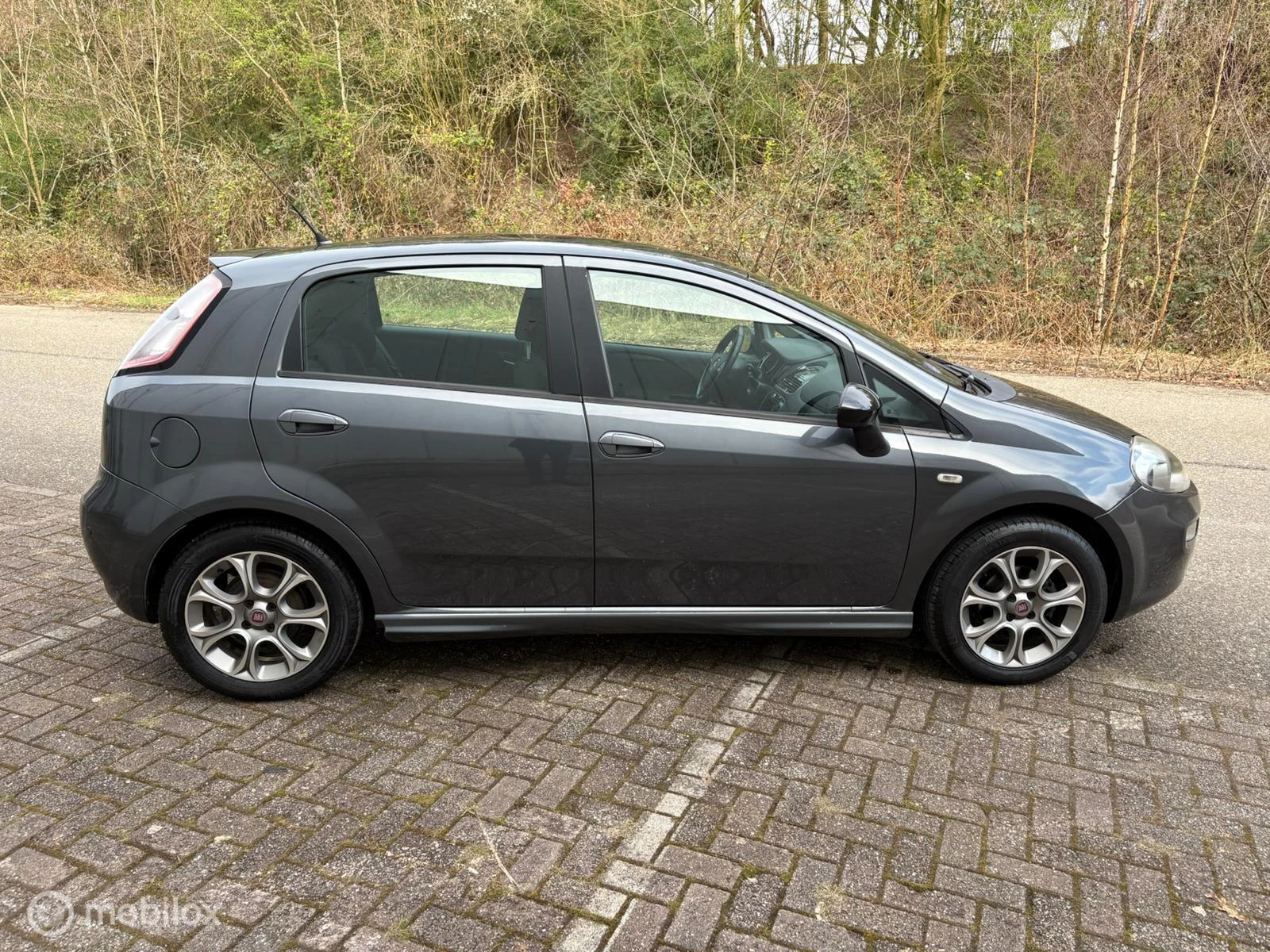 Hoofdafbeelding Fiat Punto