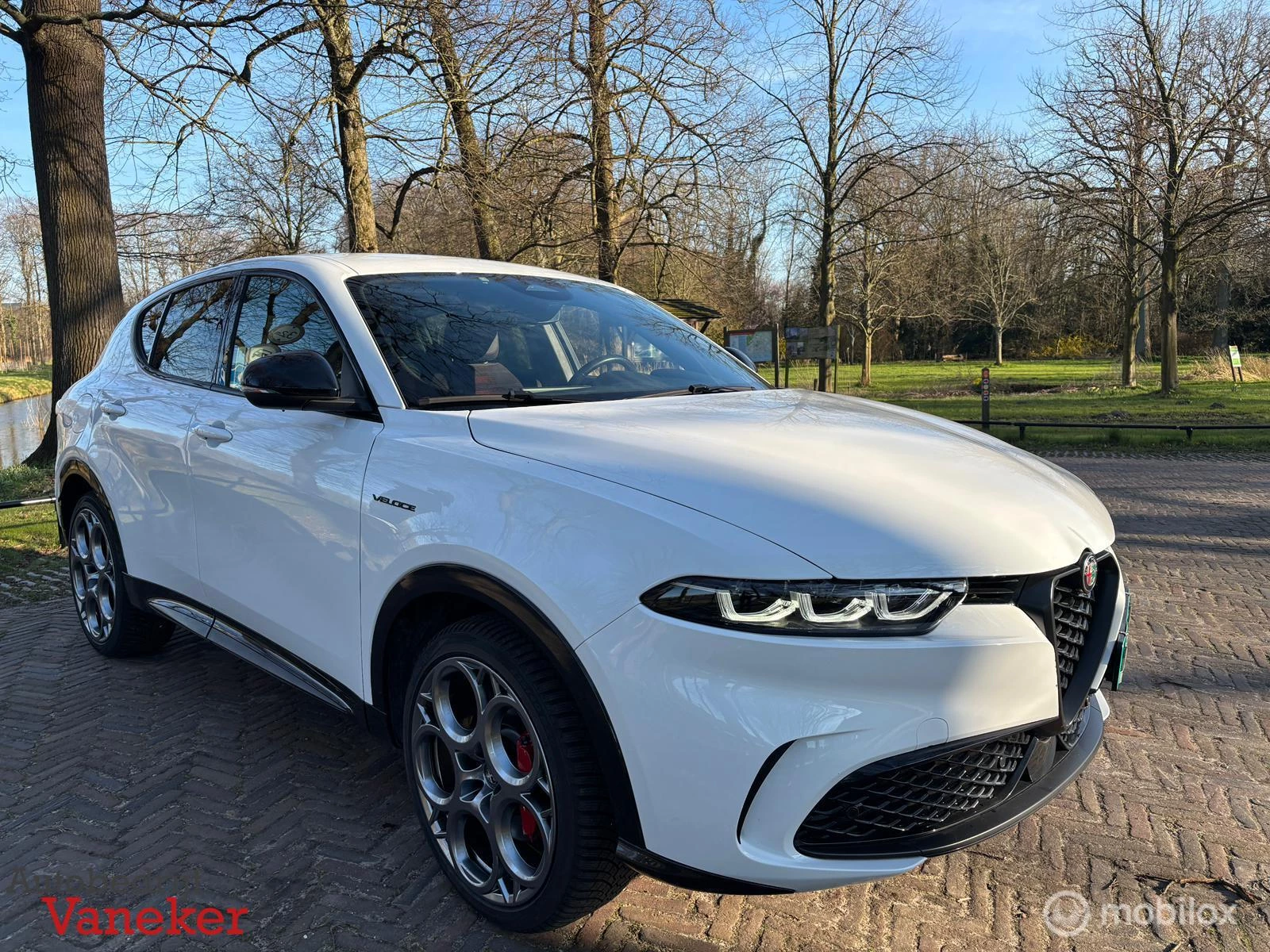 Hoofdafbeelding Alfa Romeo Tonale