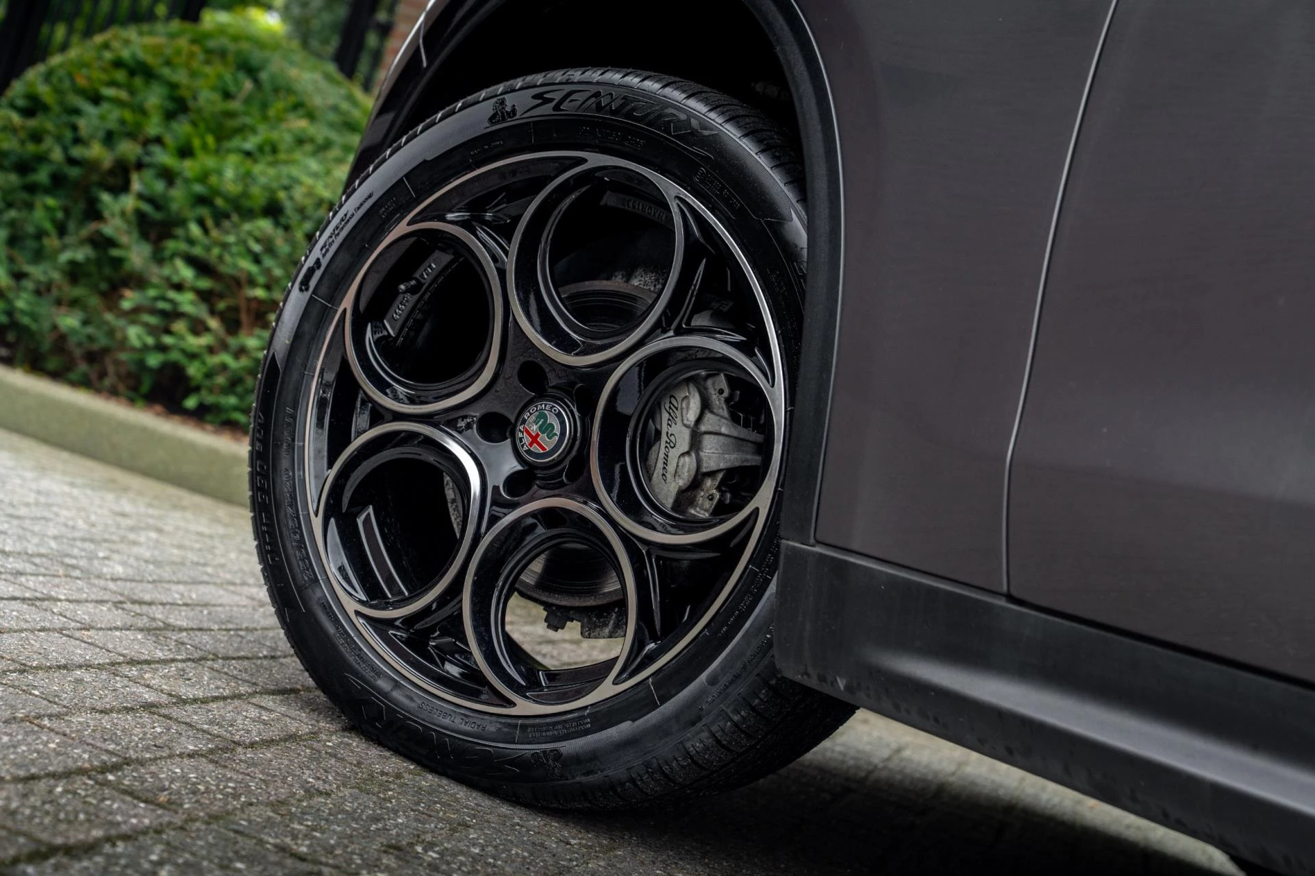 Hoofdafbeelding Alfa Romeo Stelvio