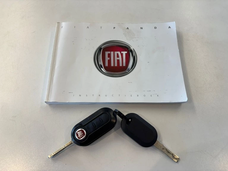Hoofdafbeelding Fiat Panda