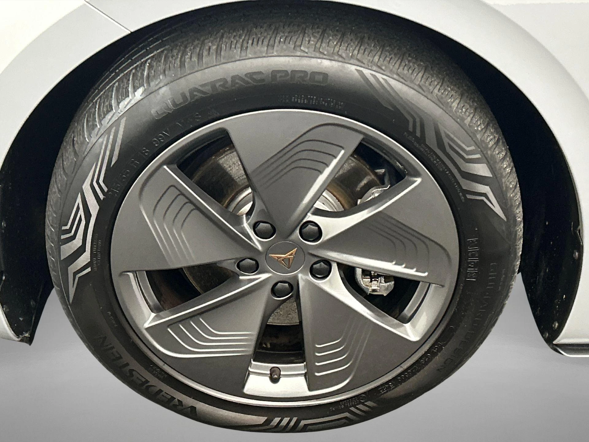 Hoofdafbeelding CUPRA Born