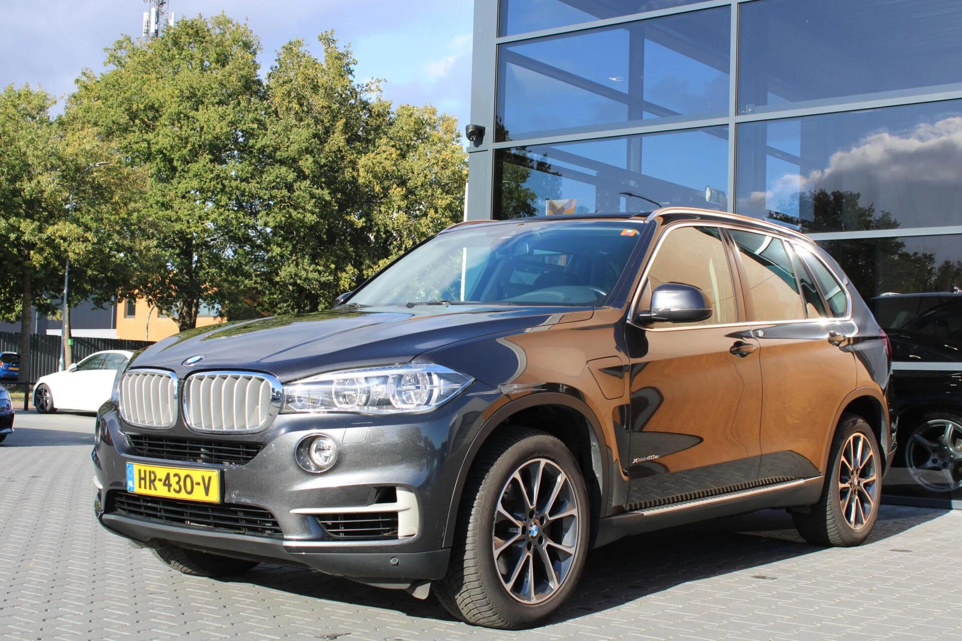 Hoofdafbeelding BMW X5