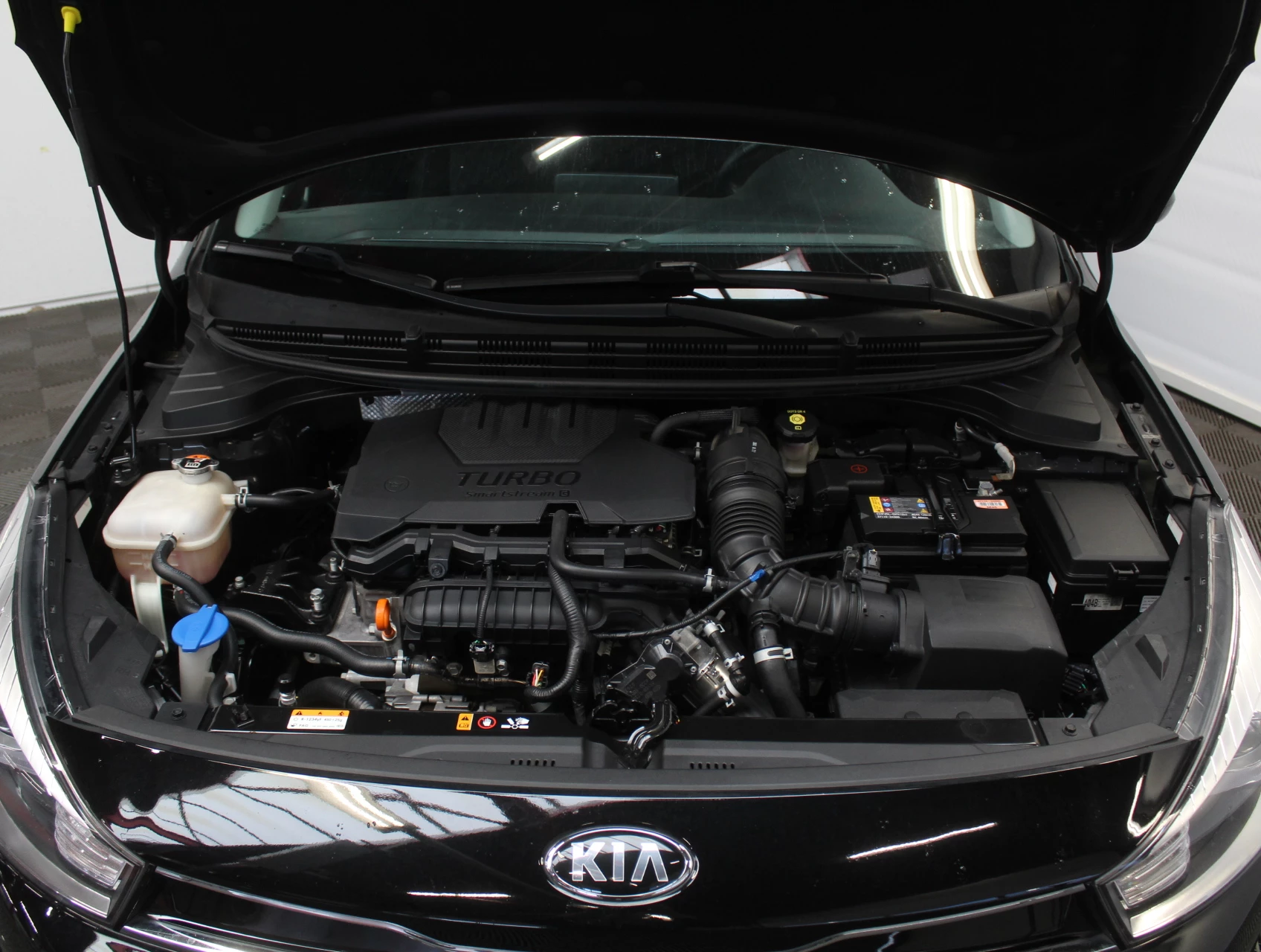 Hoofdafbeelding Kia Rio