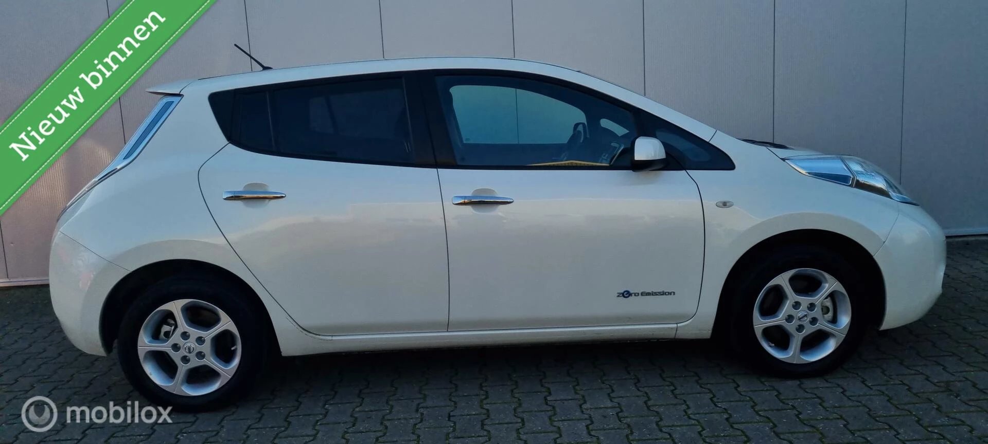 Hoofdafbeelding Nissan Leaf