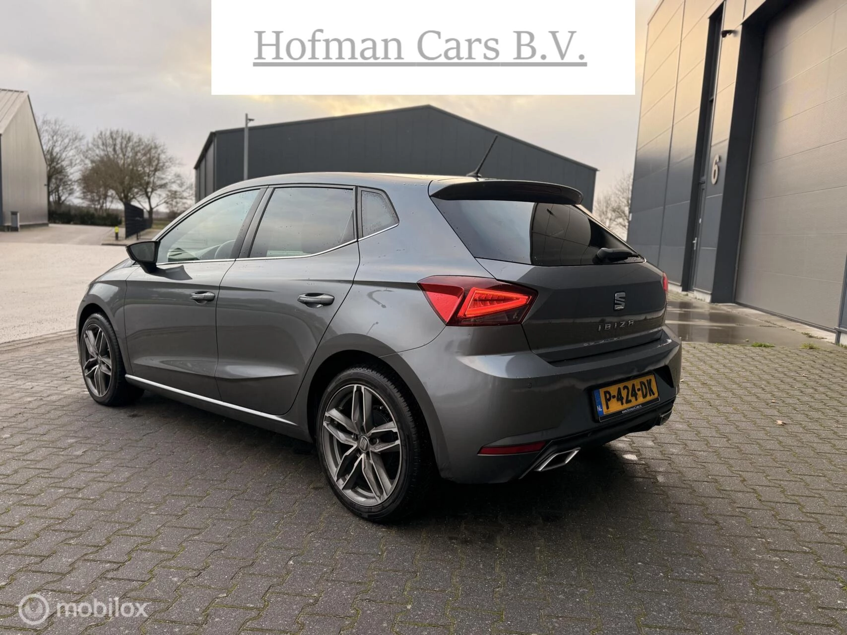 Hoofdafbeelding SEAT Ibiza