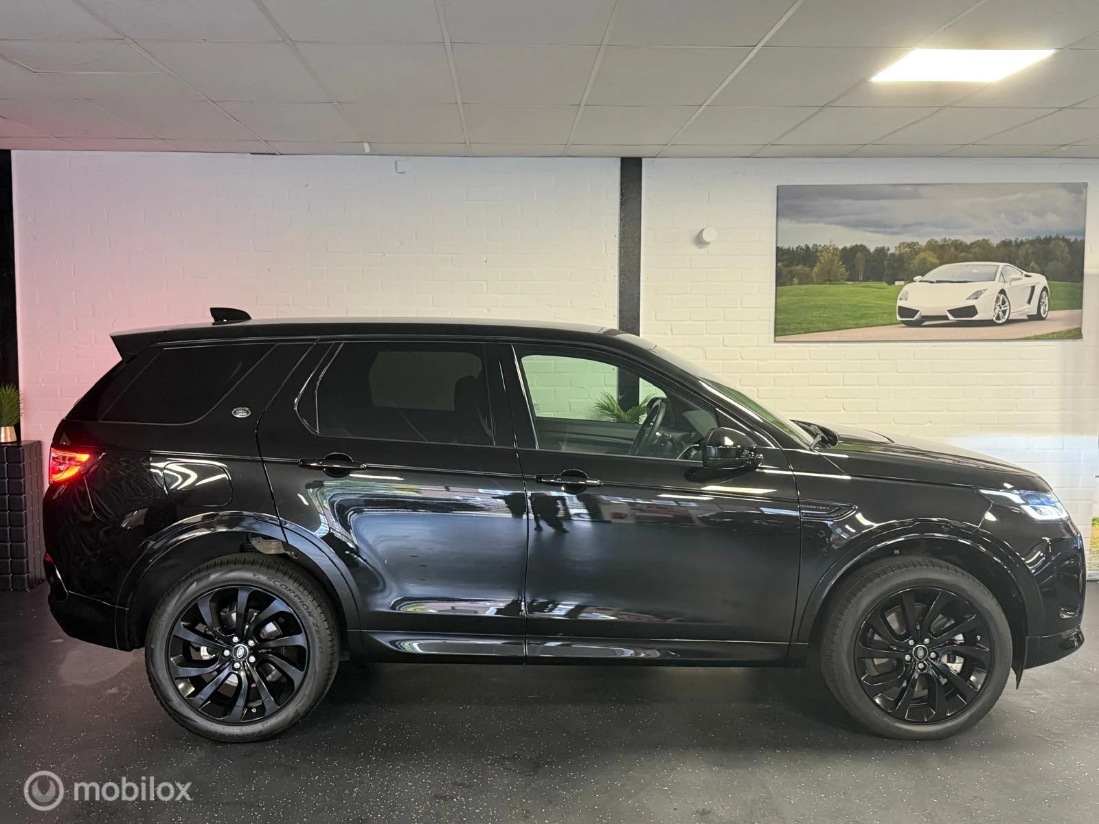 Hoofdafbeelding Land Rover Discovery Sport