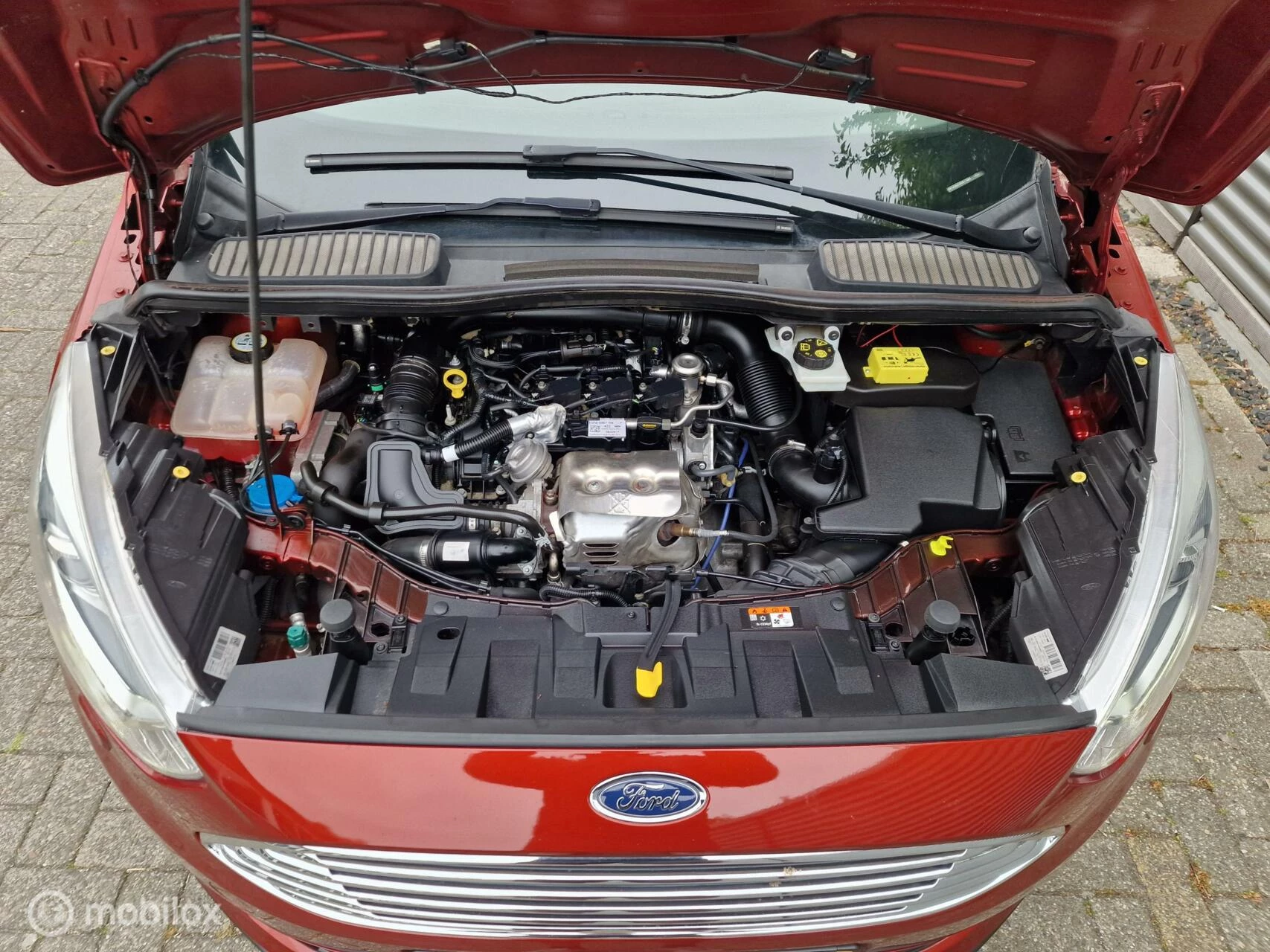 Hoofdafbeelding Ford C-MAX