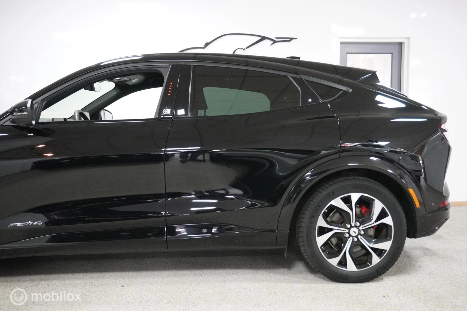 Hoofdafbeelding Ford Mustang Mach-E