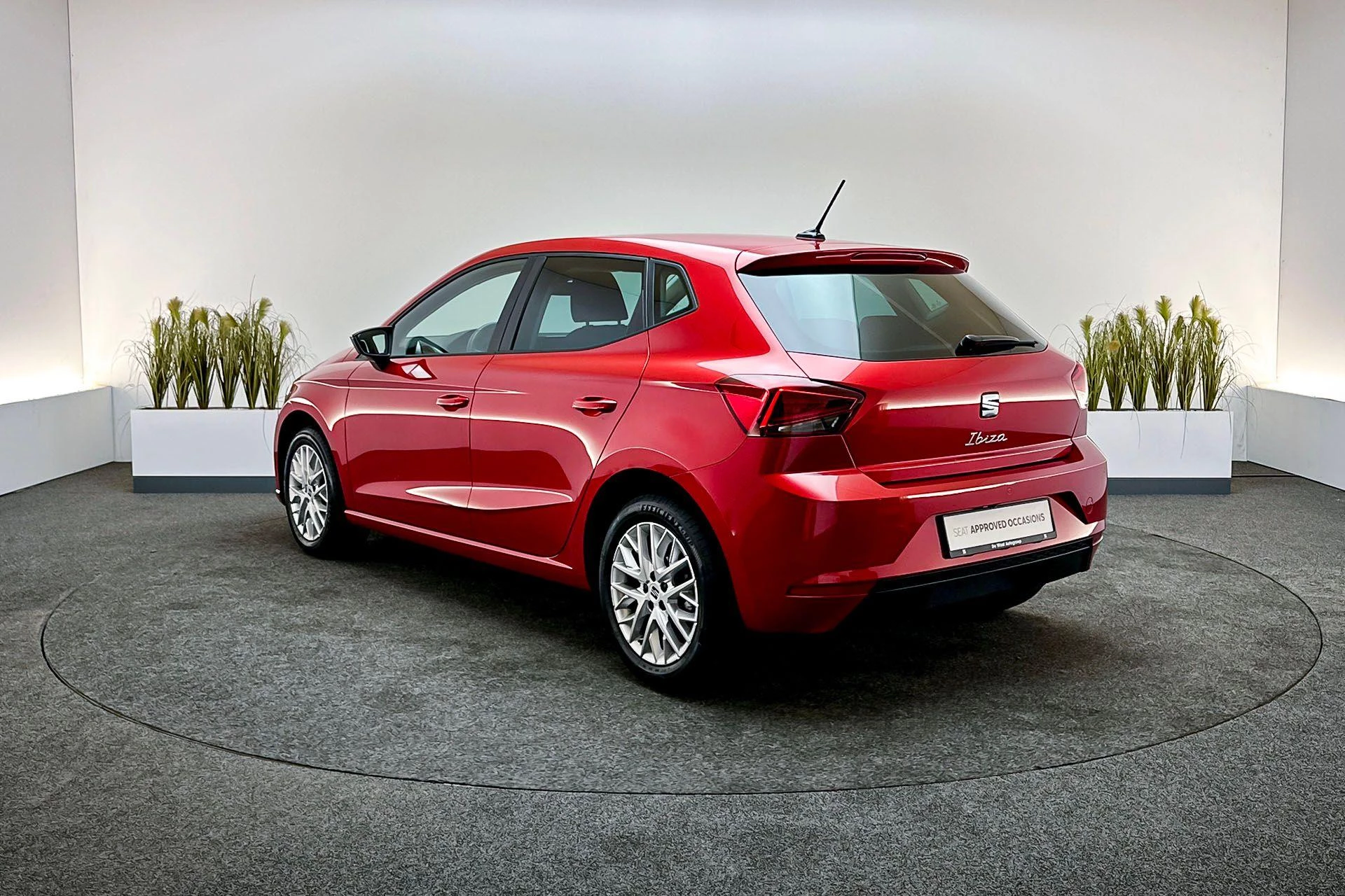 Hoofdafbeelding SEAT Ibiza