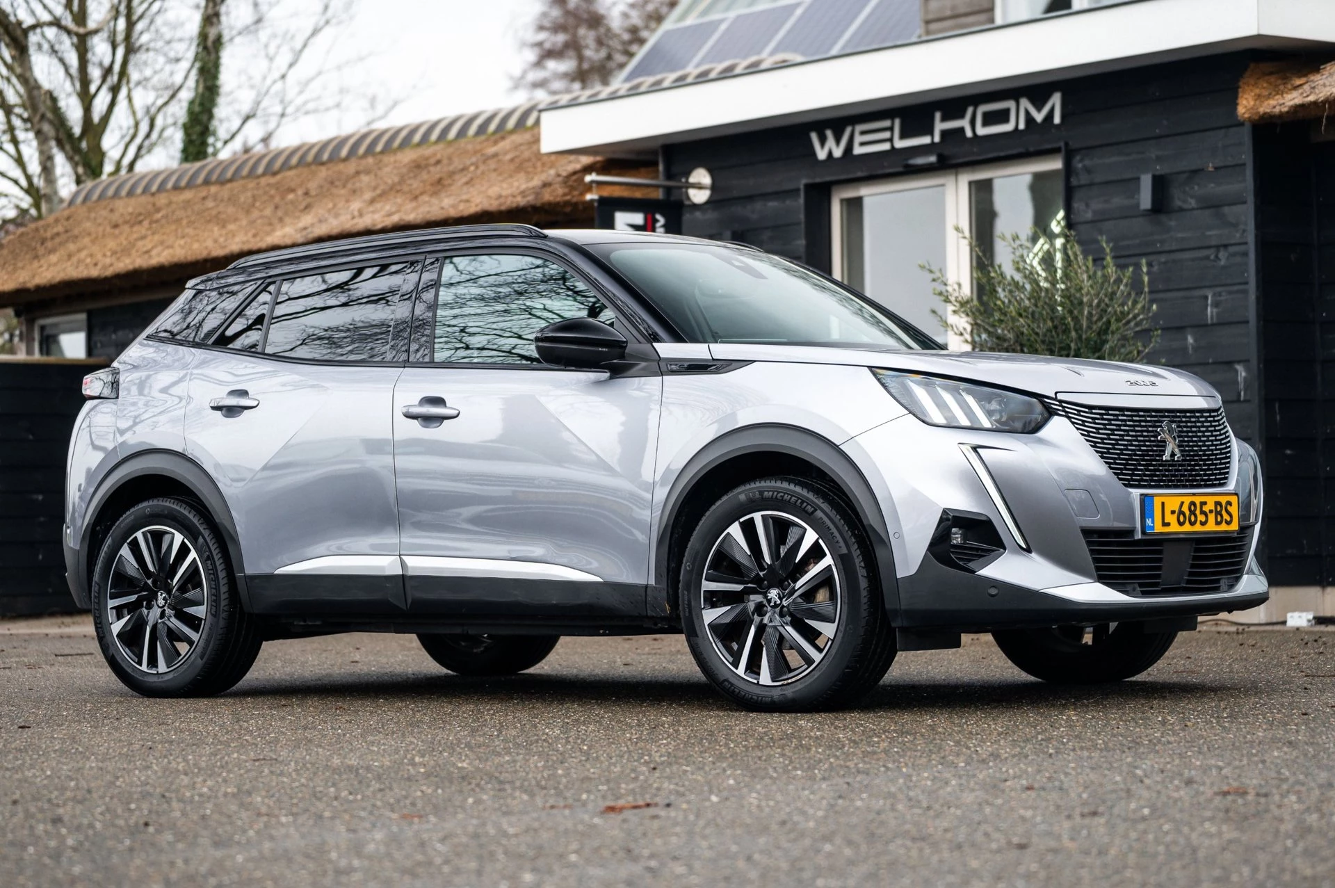 Hoofdafbeelding Peugeot e-2008