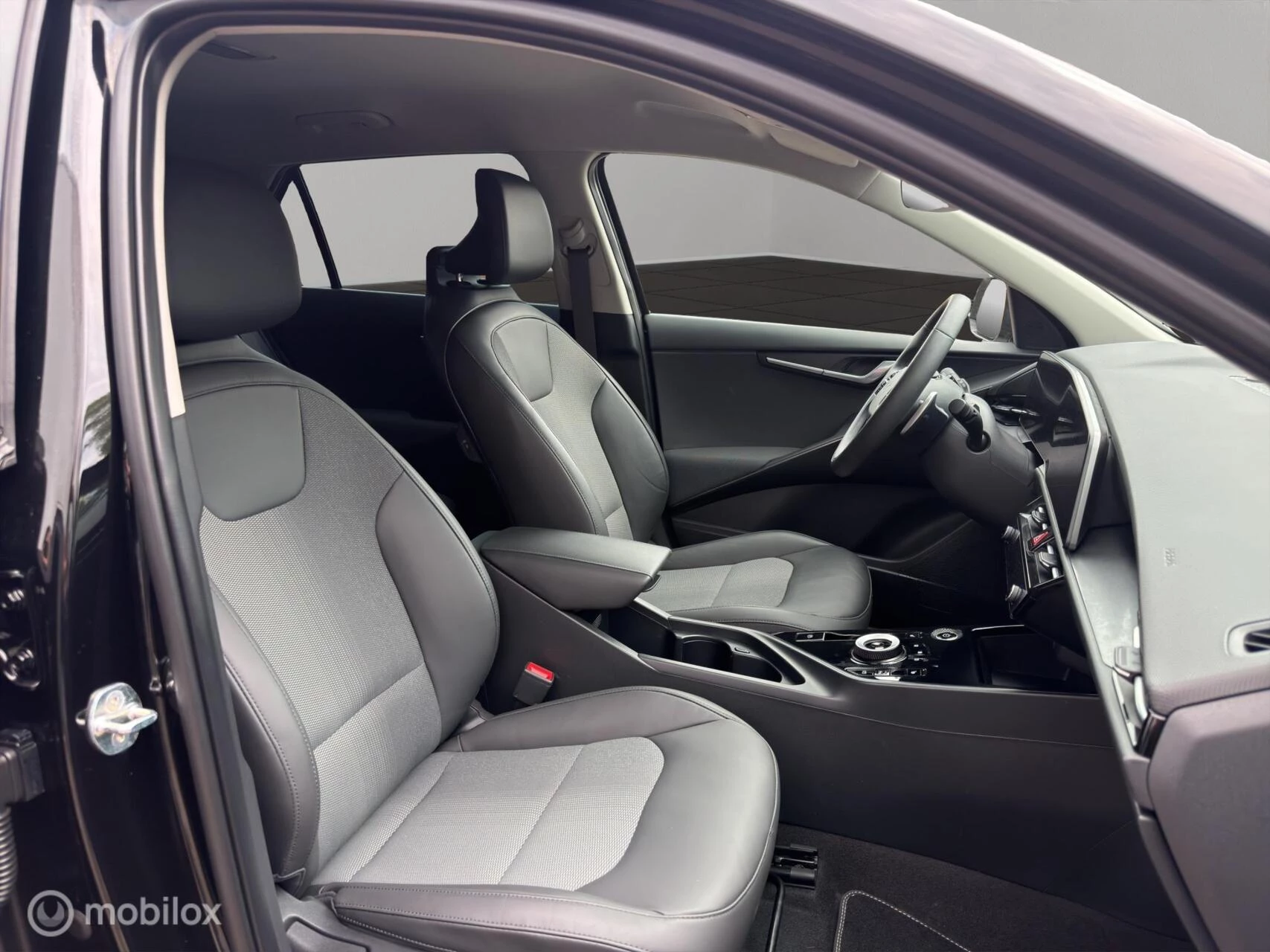 Hoofdafbeelding Kia Niro EV