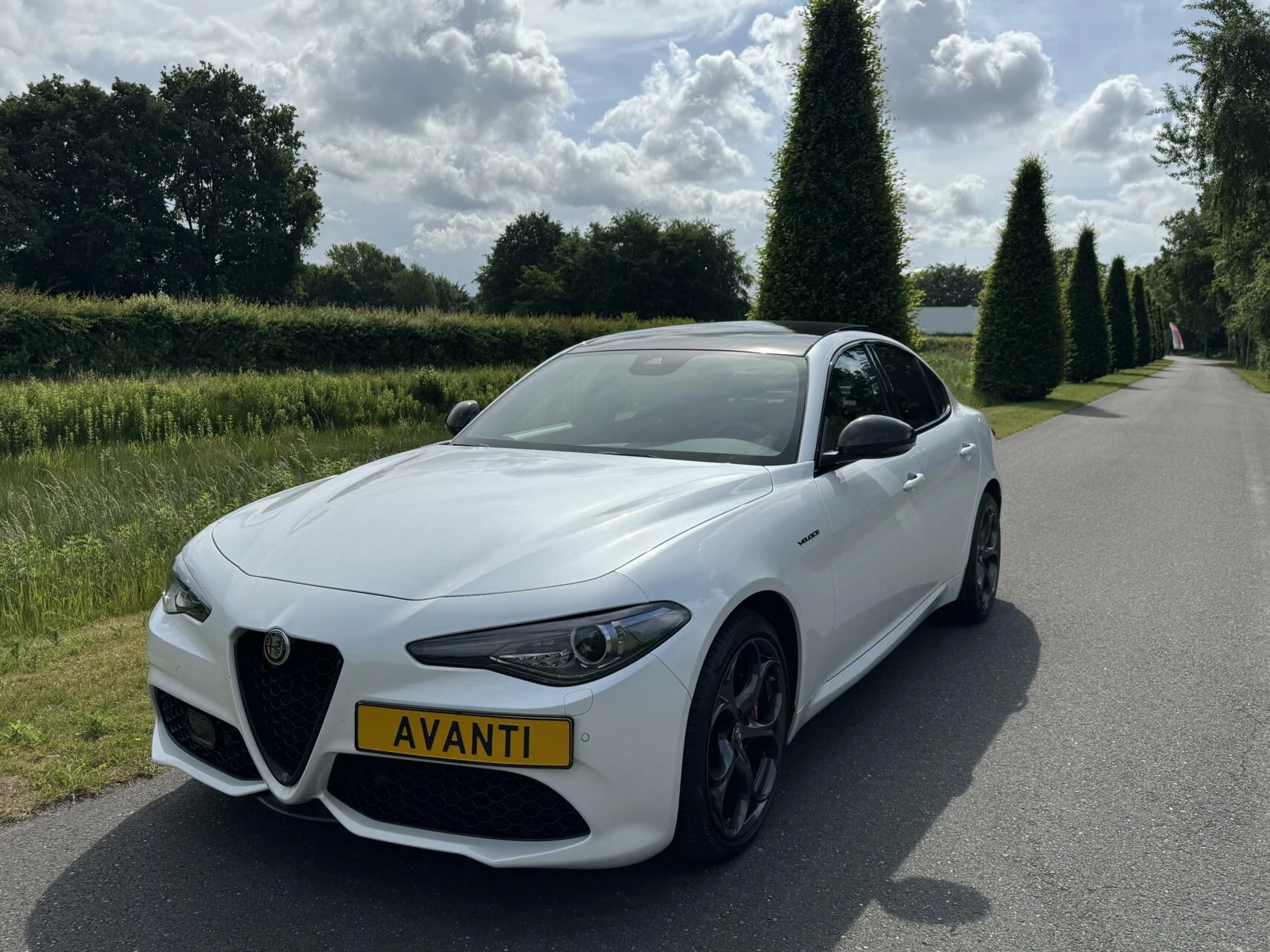 Hoofdafbeelding Alfa Romeo Giulia