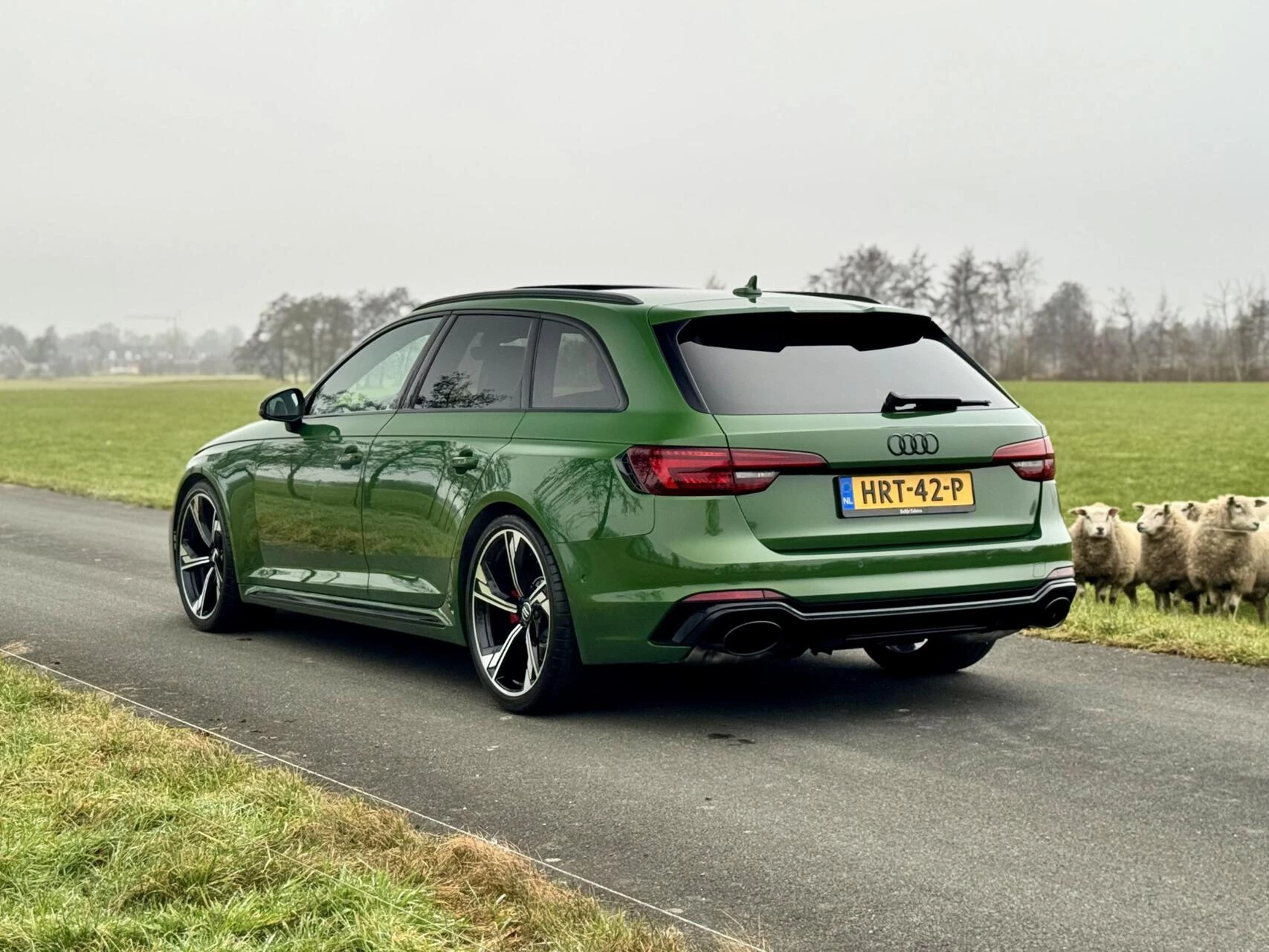 Hoofdafbeelding Audi RS4