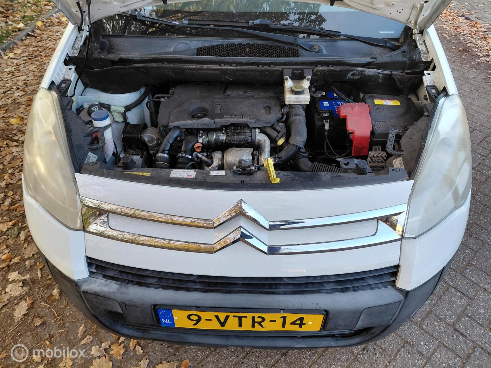 Hoofdafbeelding Citroën Berlingo