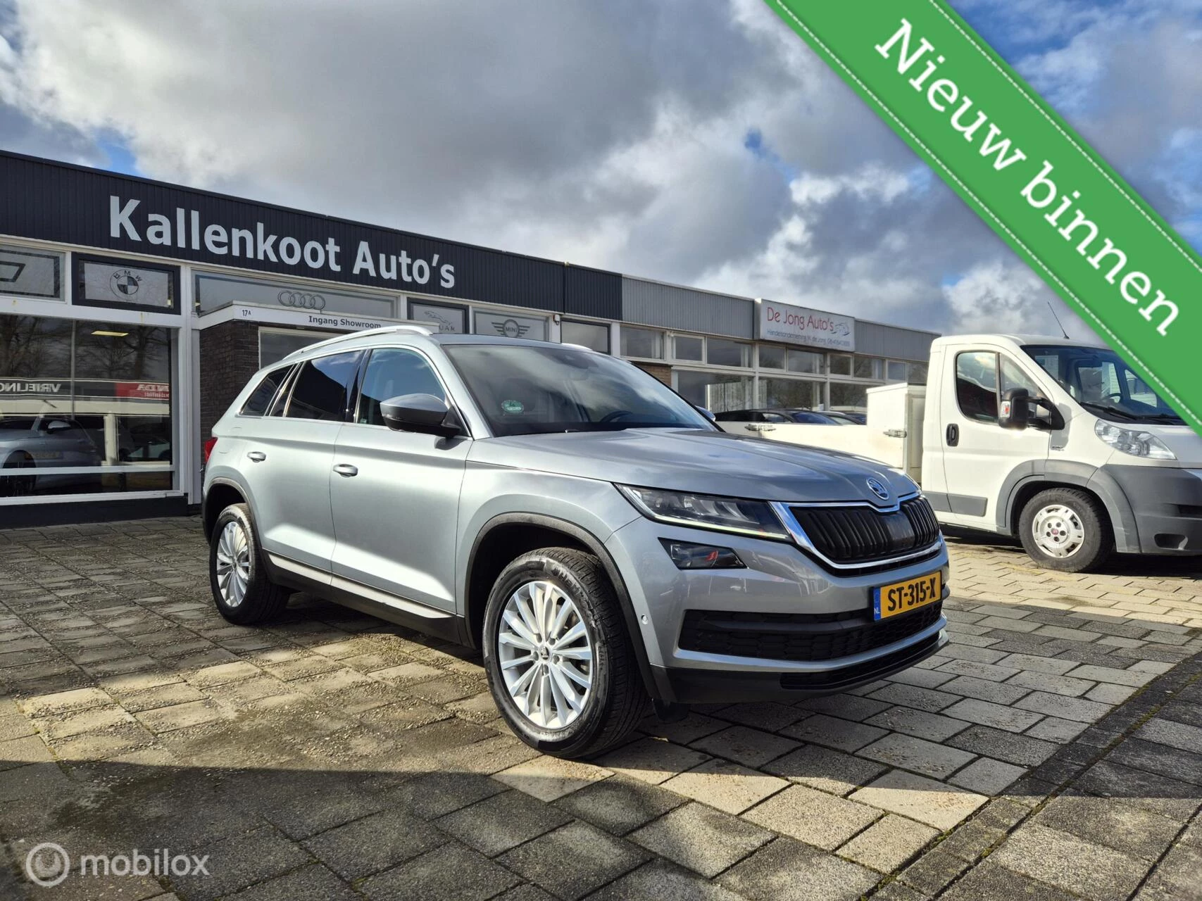 Hoofdafbeelding Škoda Kodiaq