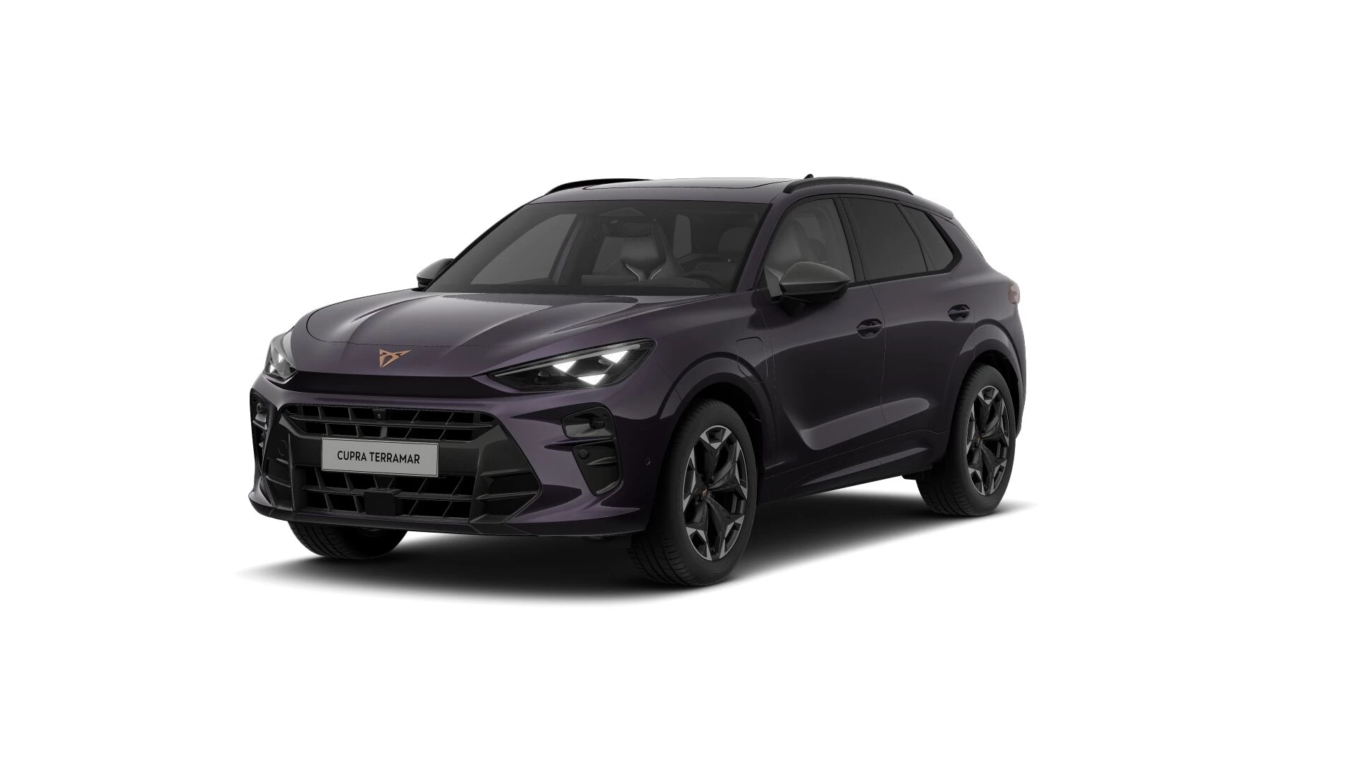 Hoofdafbeelding CUPRA Terramar