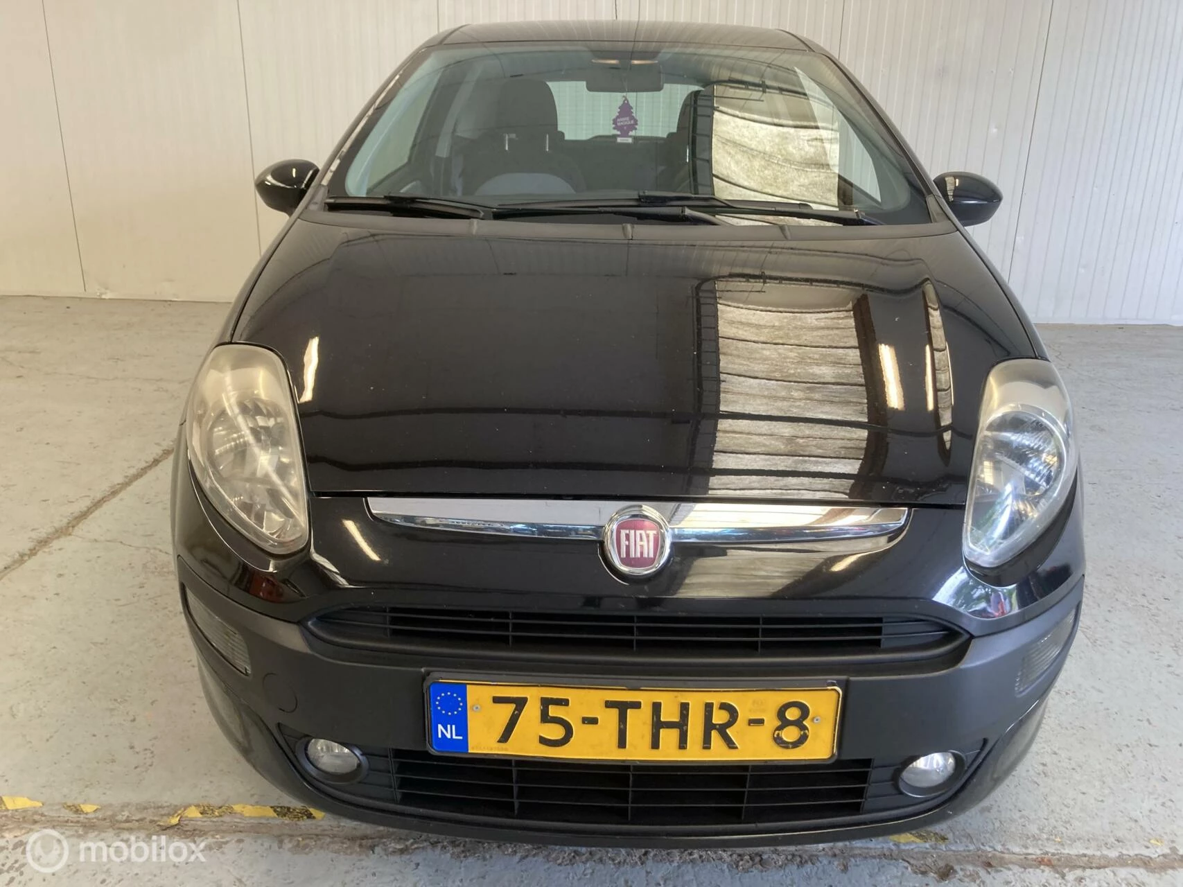 Hoofdafbeelding Fiat Punto