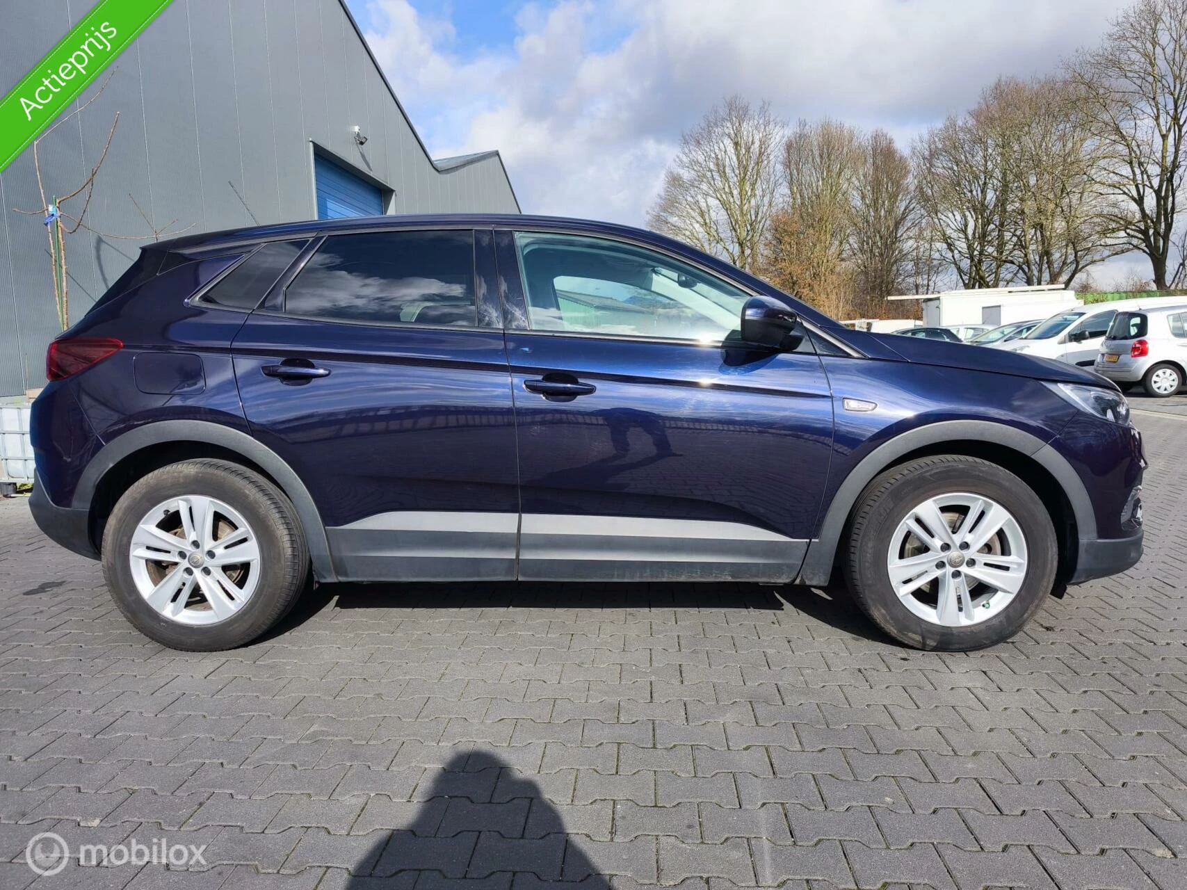 Hoofdafbeelding Opel Grandland X
