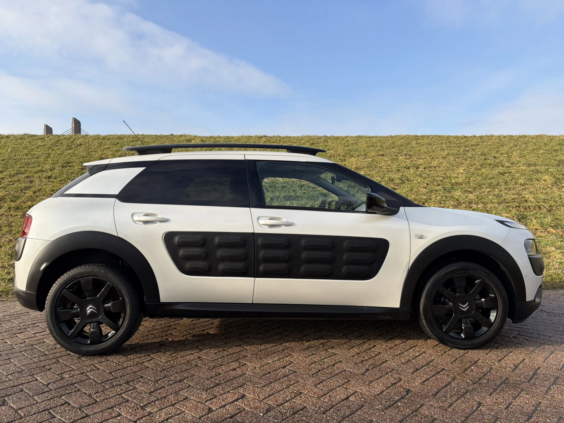 Hoofdafbeelding Citroën C4 Cactus