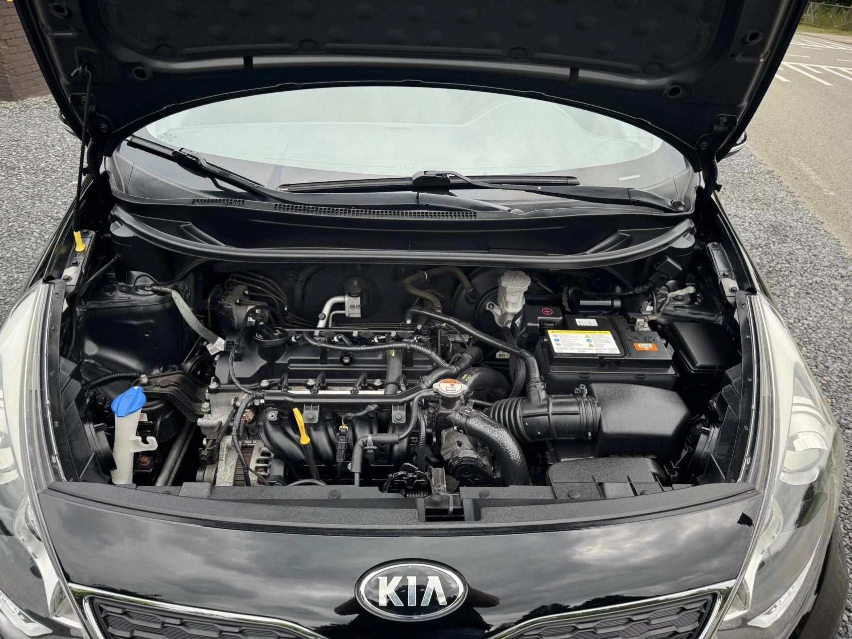 Hoofdafbeelding Kia Rio