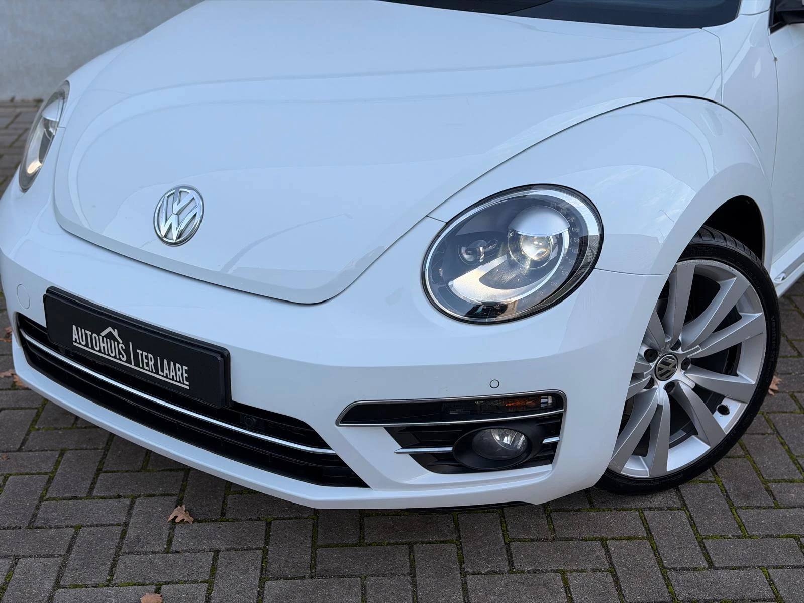 Hoofdafbeelding Volkswagen Beetle