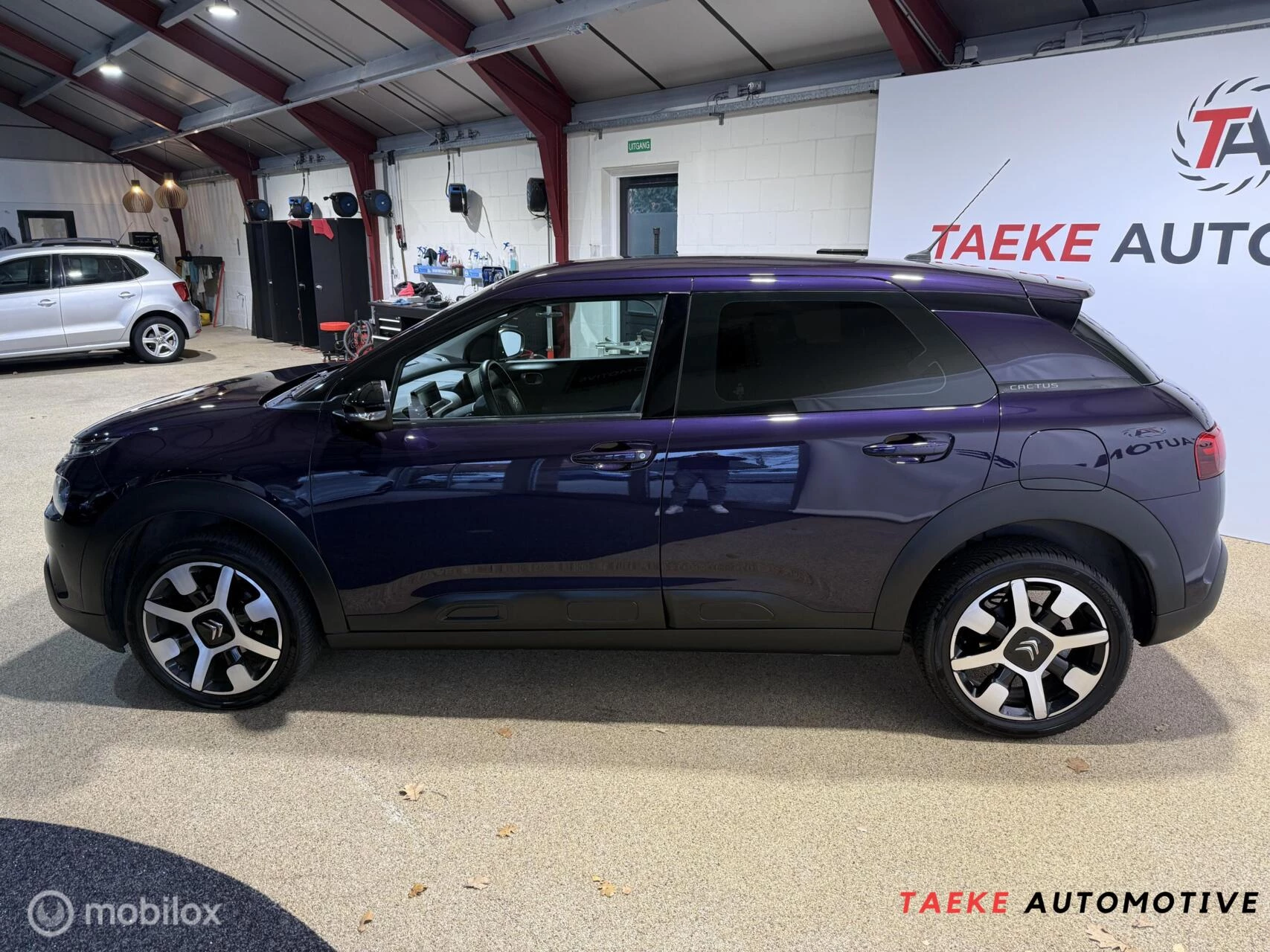 Hoofdafbeelding Citroën C4 Cactus