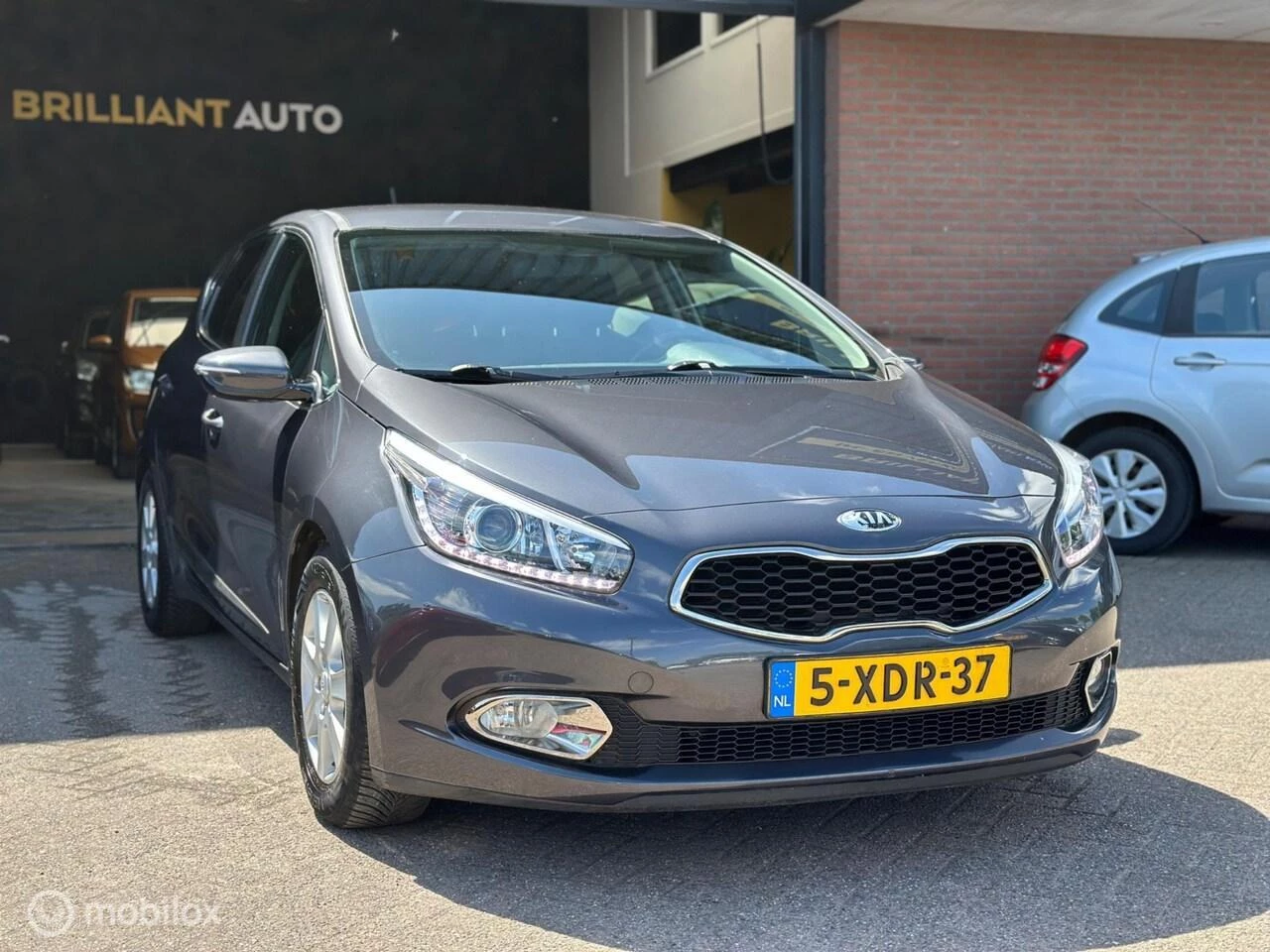 Hoofdafbeelding Kia cee'd