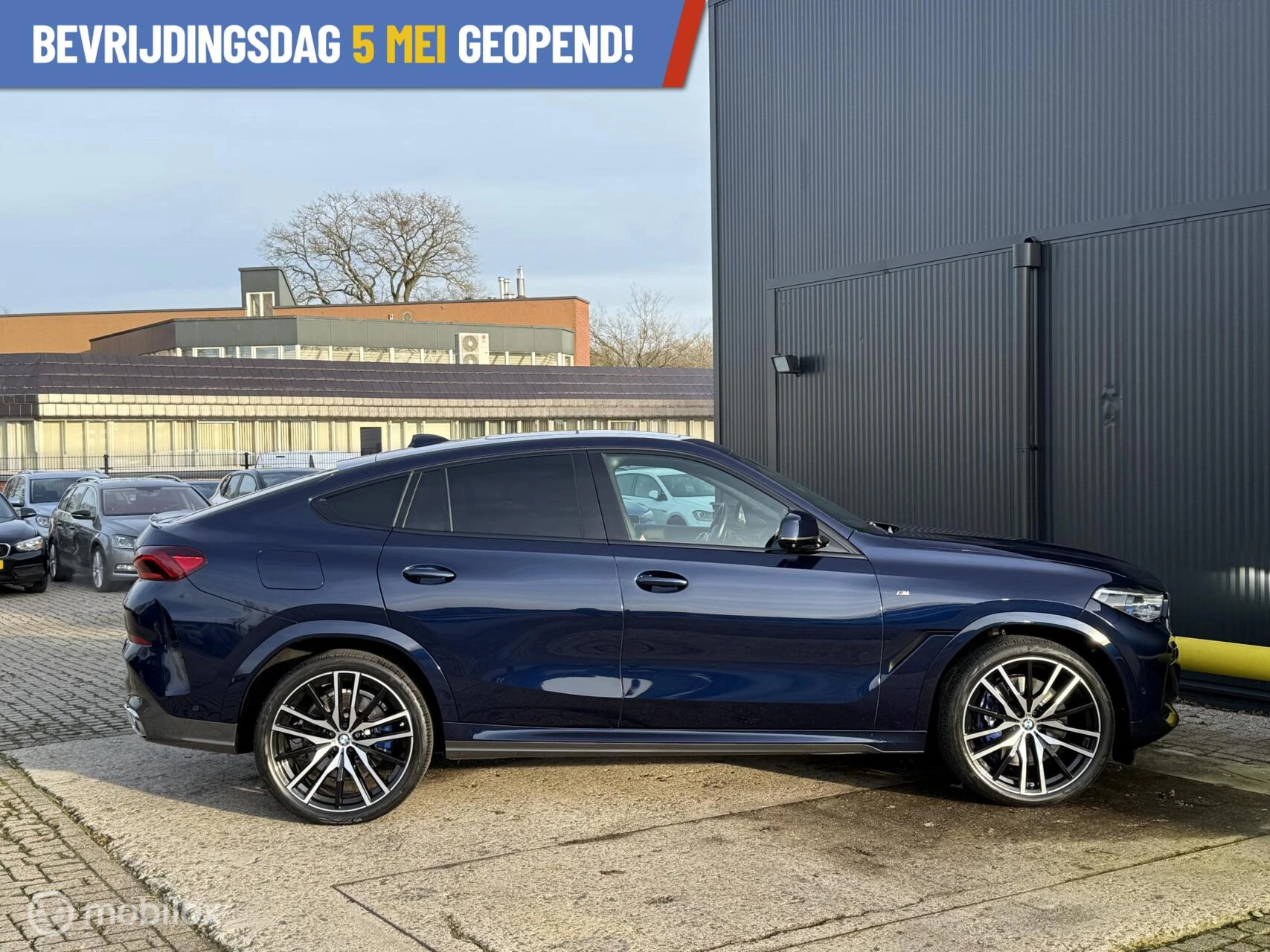 Hoofdafbeelding BMW X6