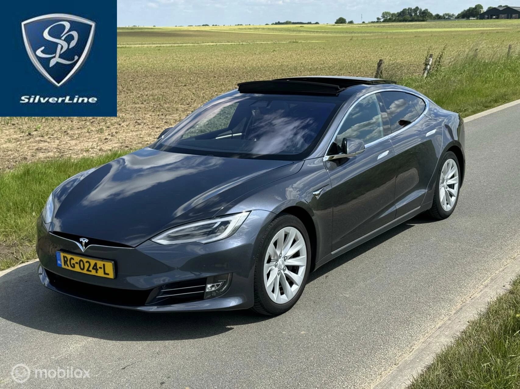 Hoofdafbeelding Tesla Model S