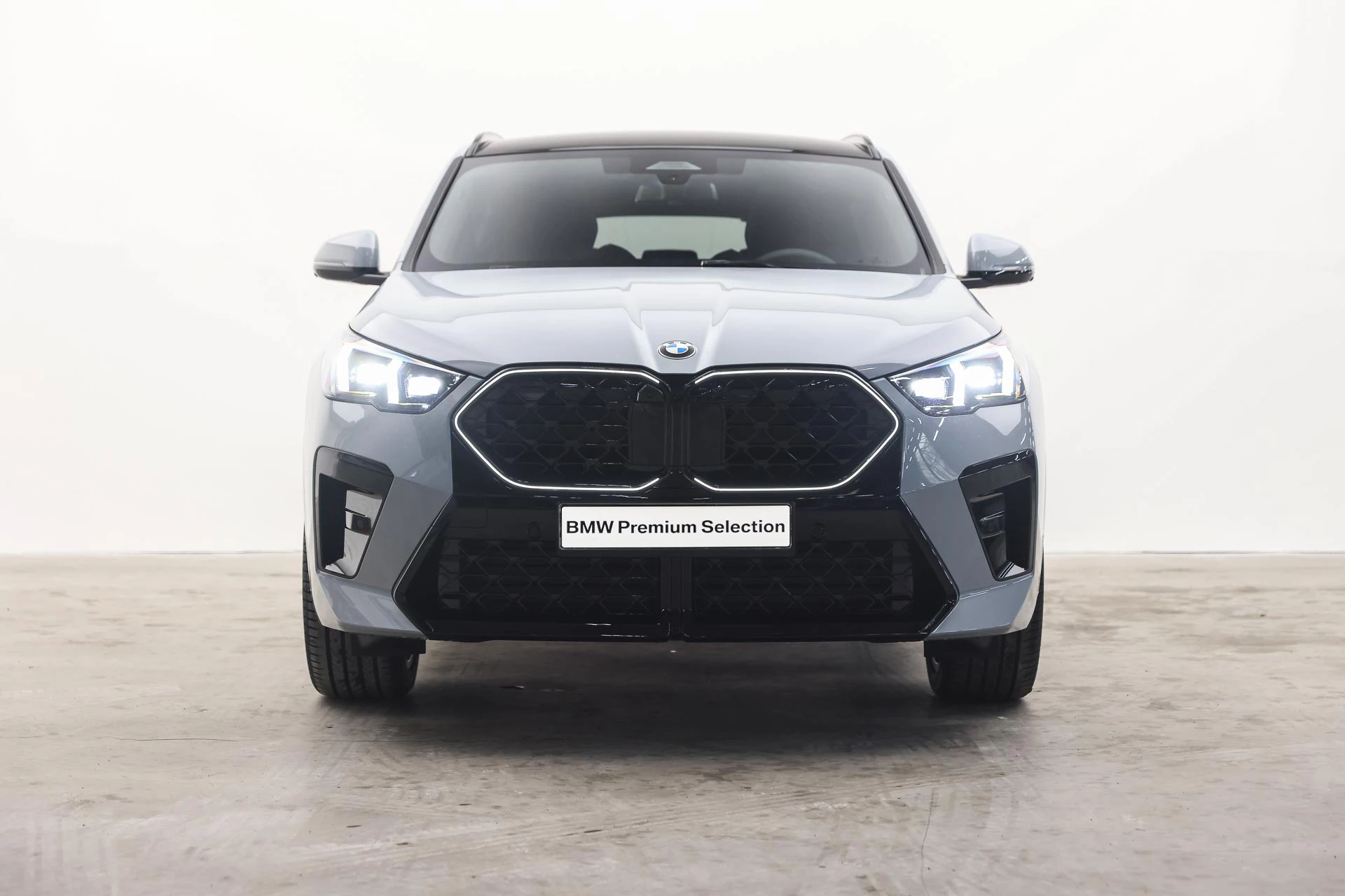 Hoofdafbeelding BMW X2