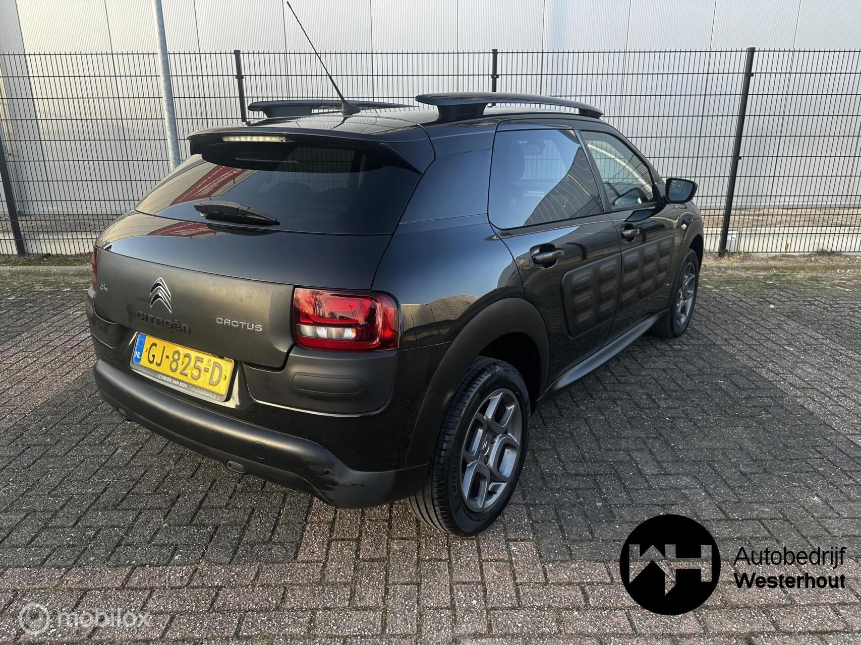 Hoofdafbeelding Citroën C4 Cactus