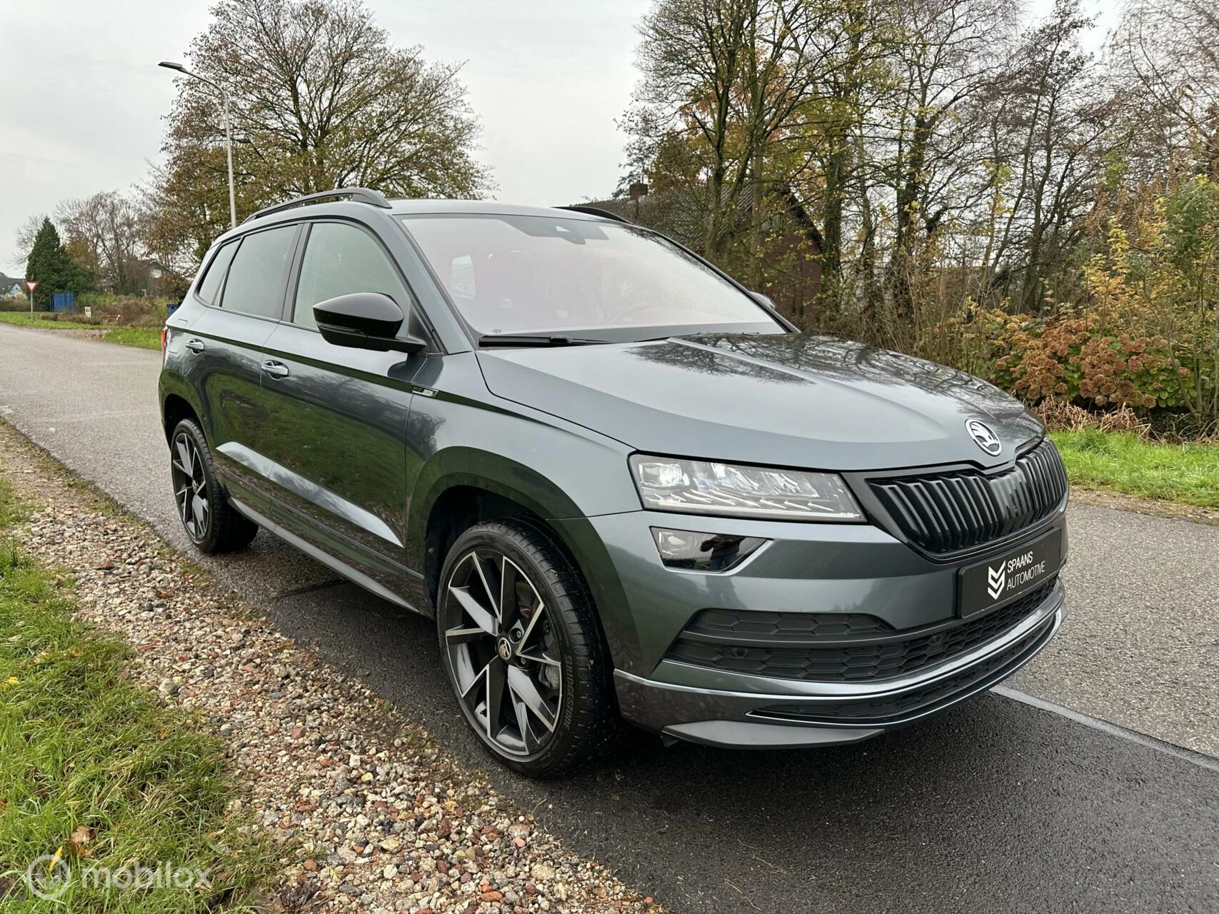 Hoofdafbeelding Škoda Karoq