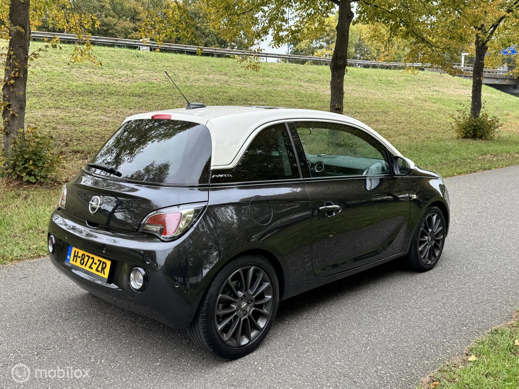 Hoofdafbeelding Opel ADAM