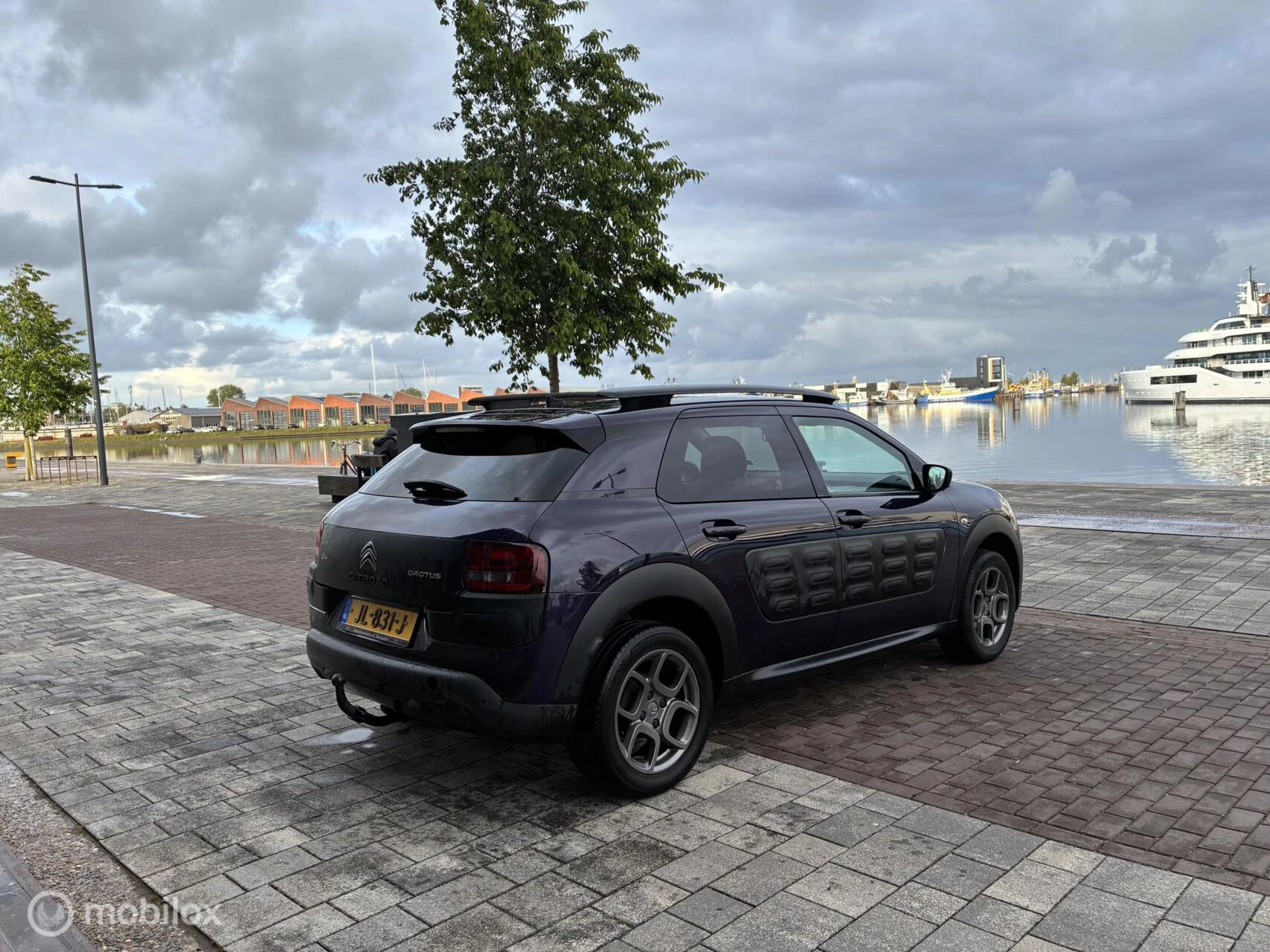 Hoofdafbeelding Citroën C4 Cactus