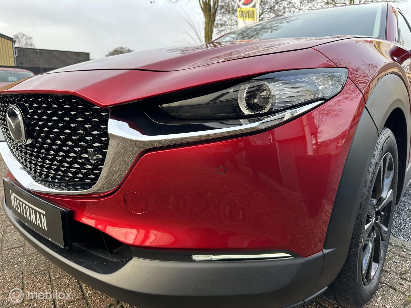 Hoofdafbeelding Mazda CX-30