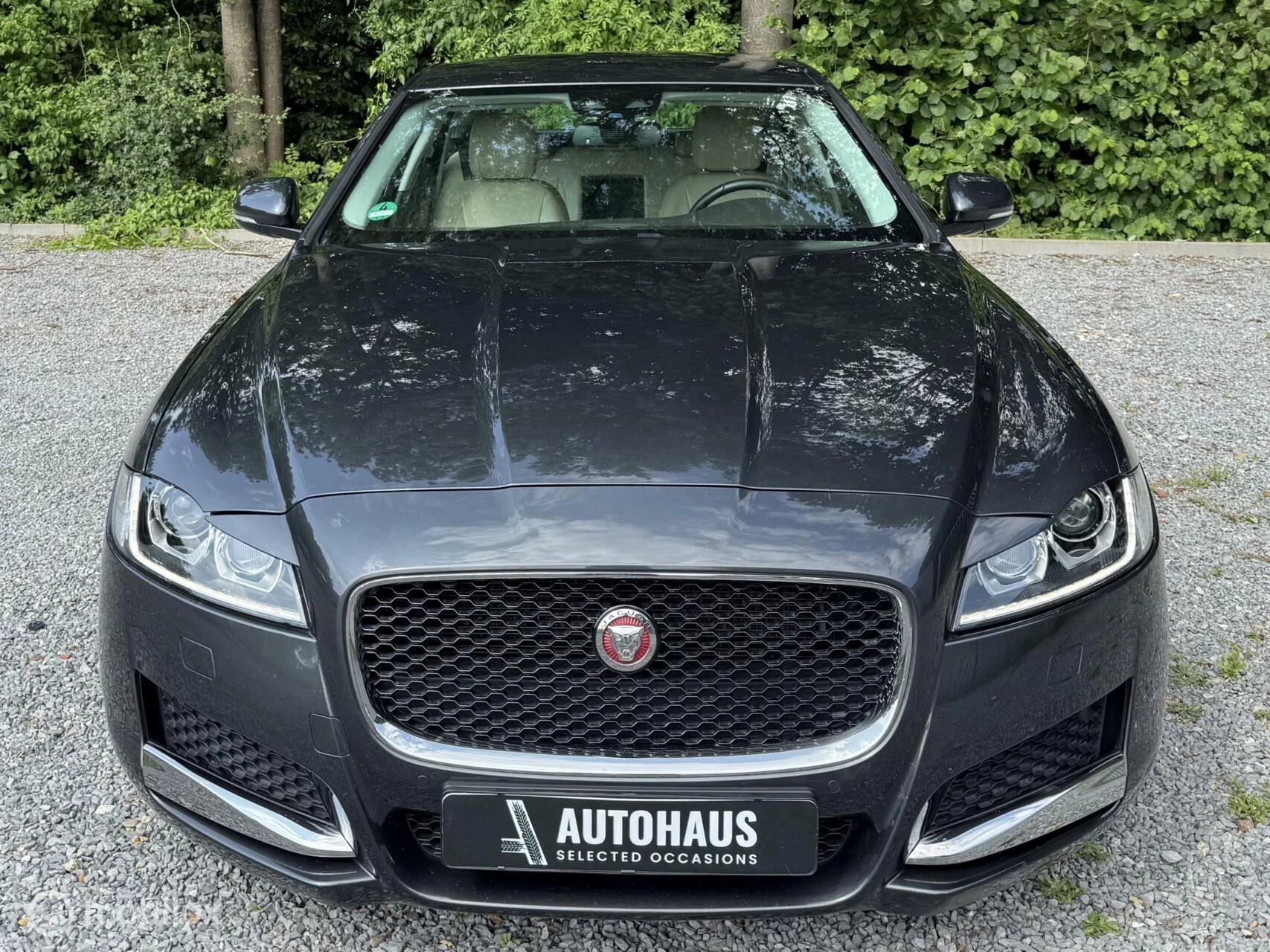 Hoofdafbeelding Jaguar XF