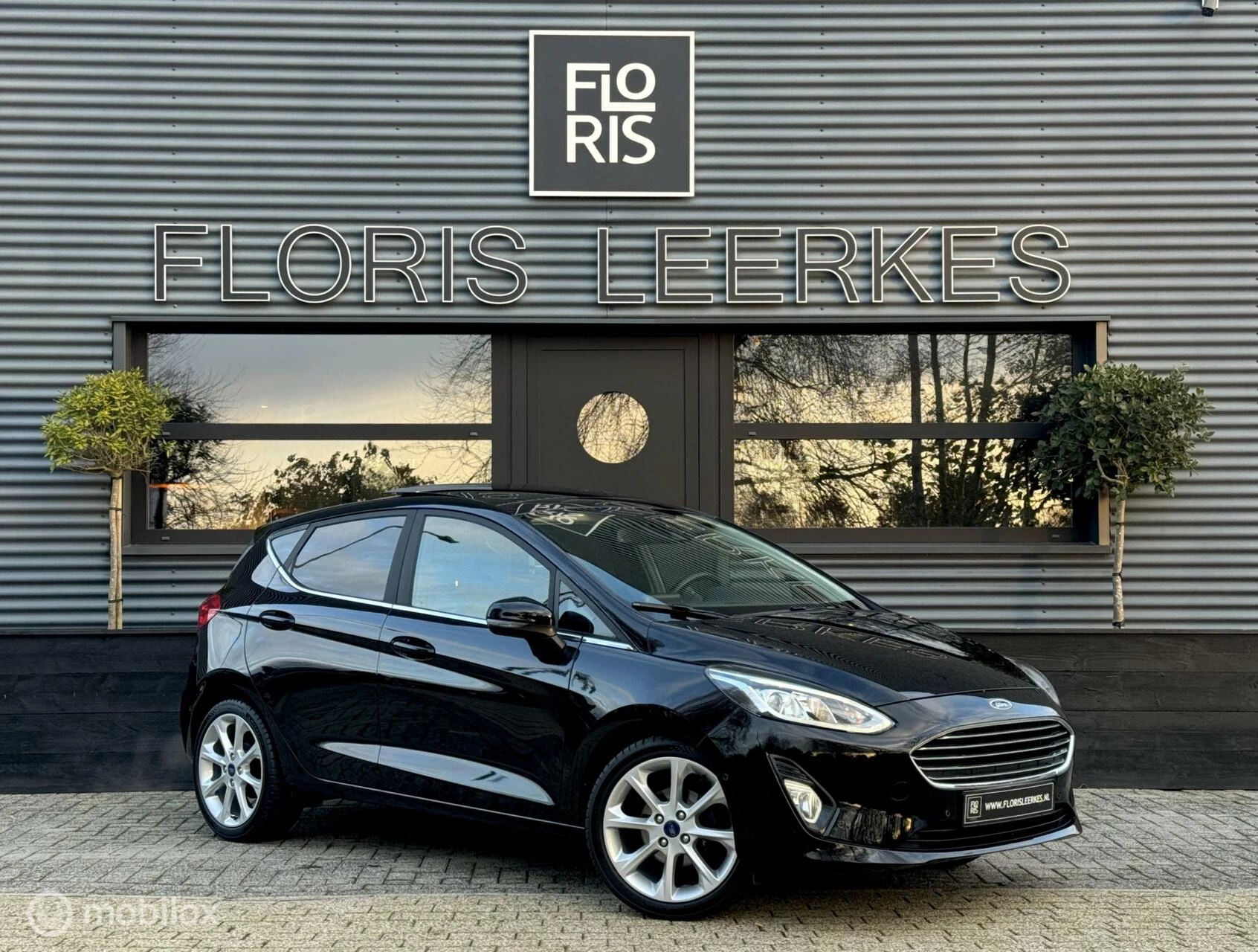 Hoofdafbeelding Ford Fiesta