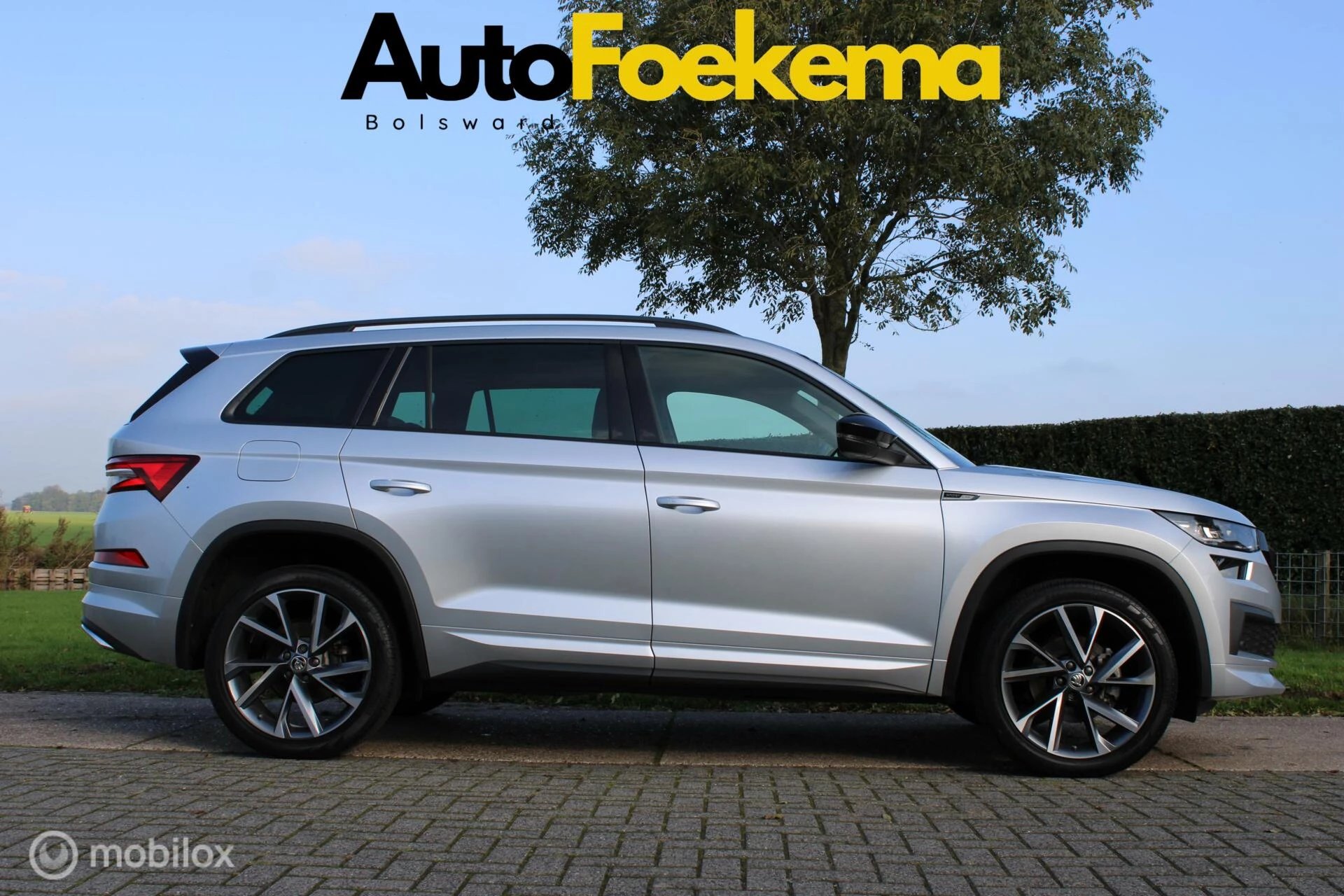 Hoofdafbeelding Škoda Kodiaq