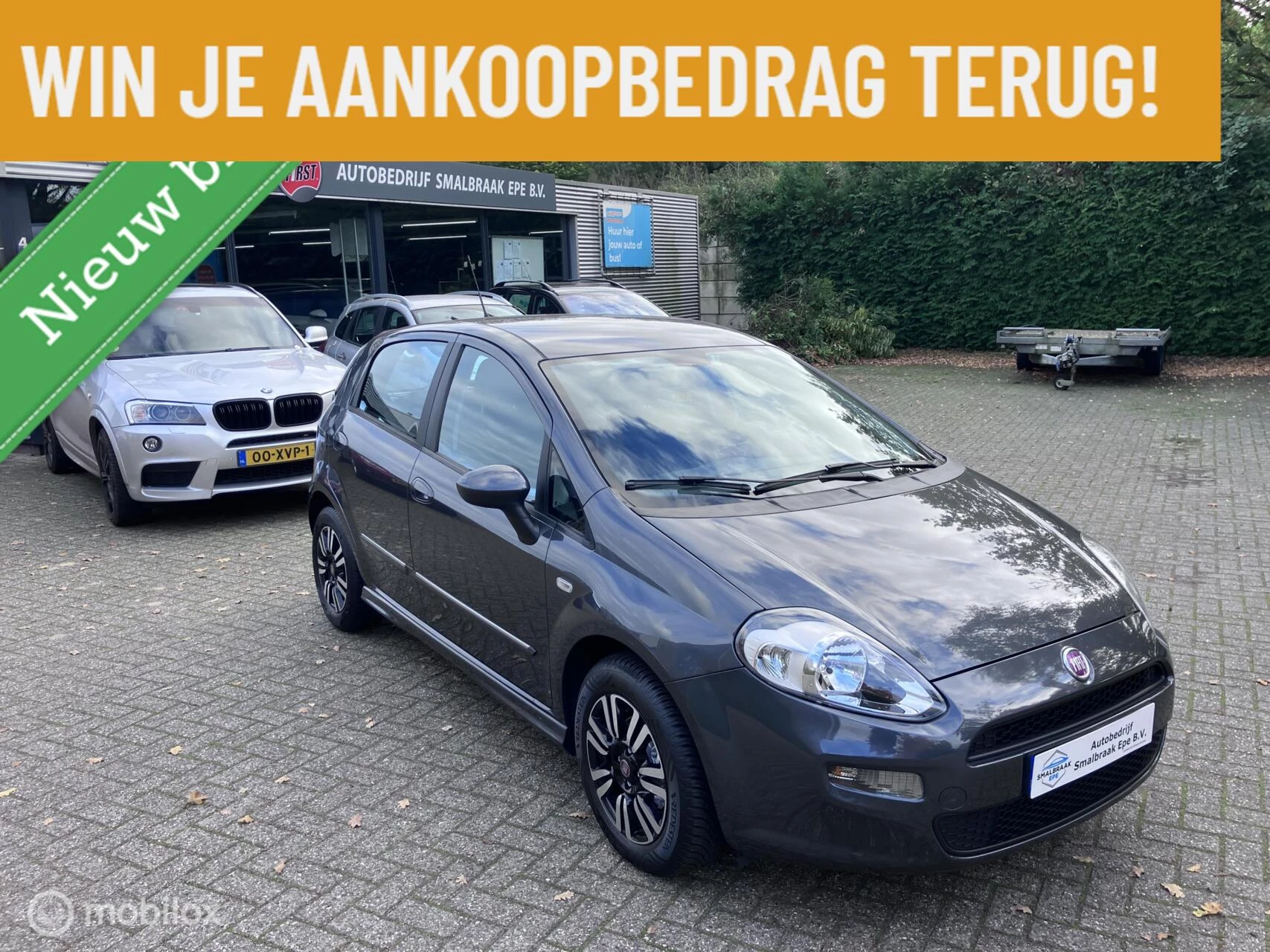 Hoofdafbeelding Fiat Punto