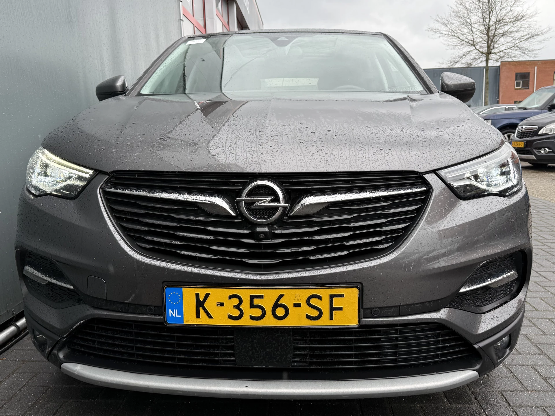 Hoofdafbeelding Opel Grandland X