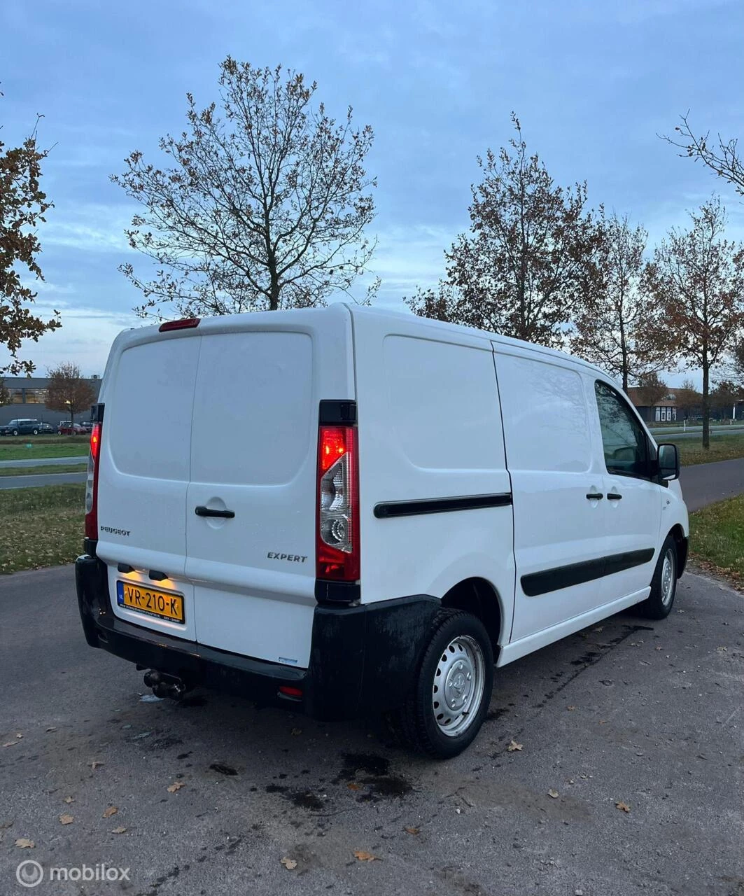 Hoofdafbeelding Peugeot Expert