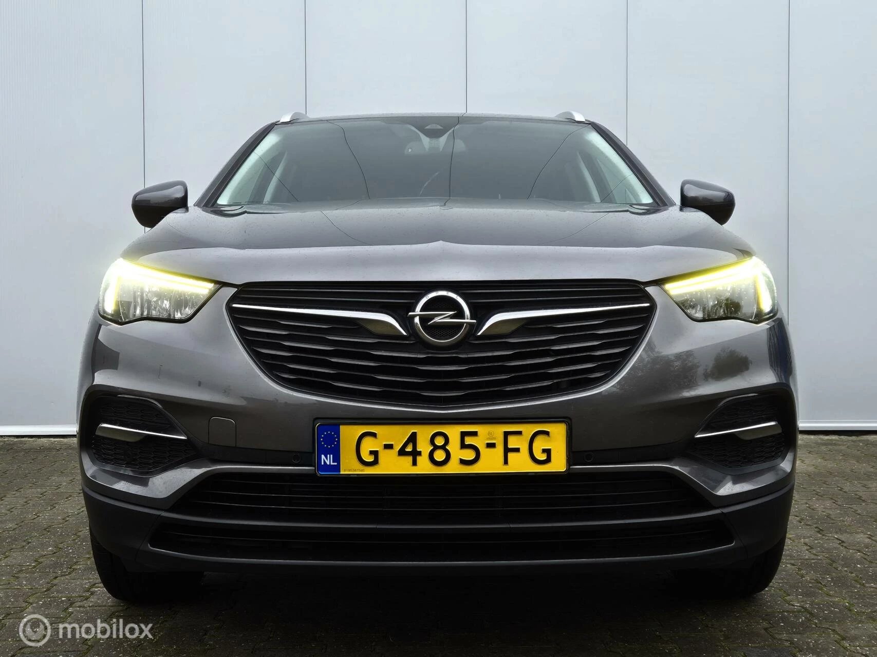 Hoofdafbeelding Opel Grandland X