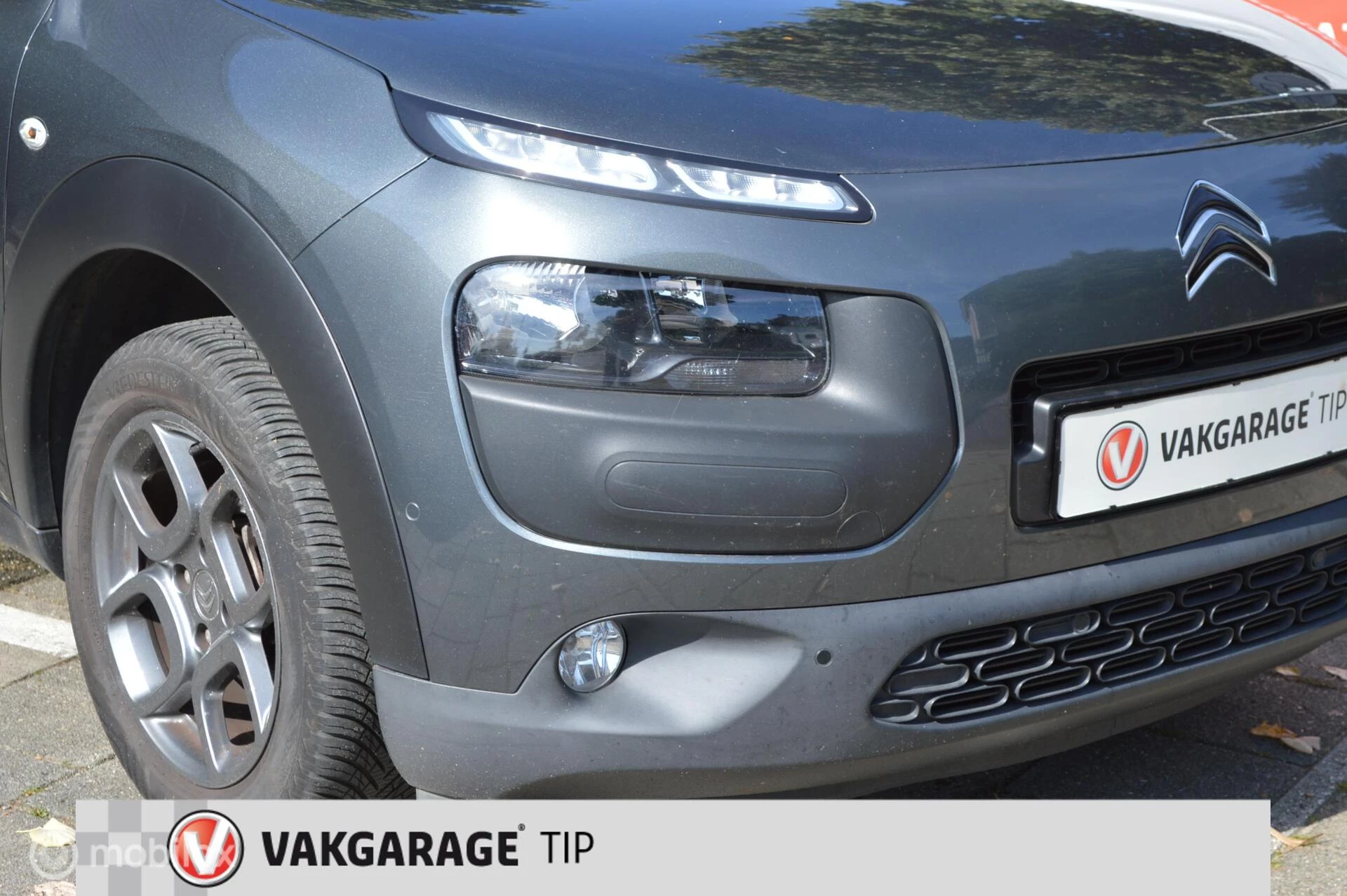 Hoofdafbeelding Citroën C4 Cactus