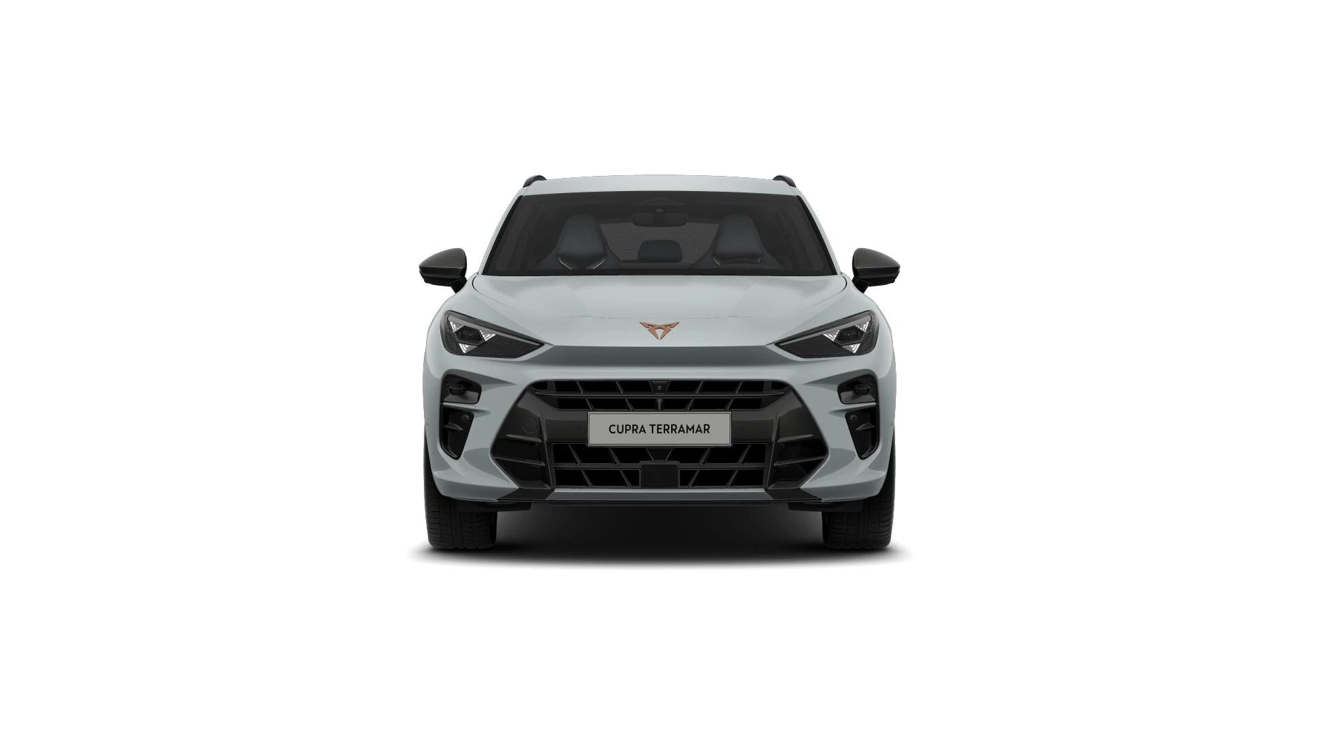 Hoofdafbeelding CUPRA Terramar