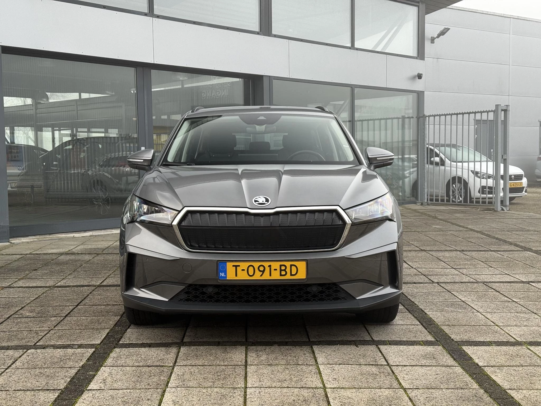 Hoofdafbeelding Škoda Enyaq iV
