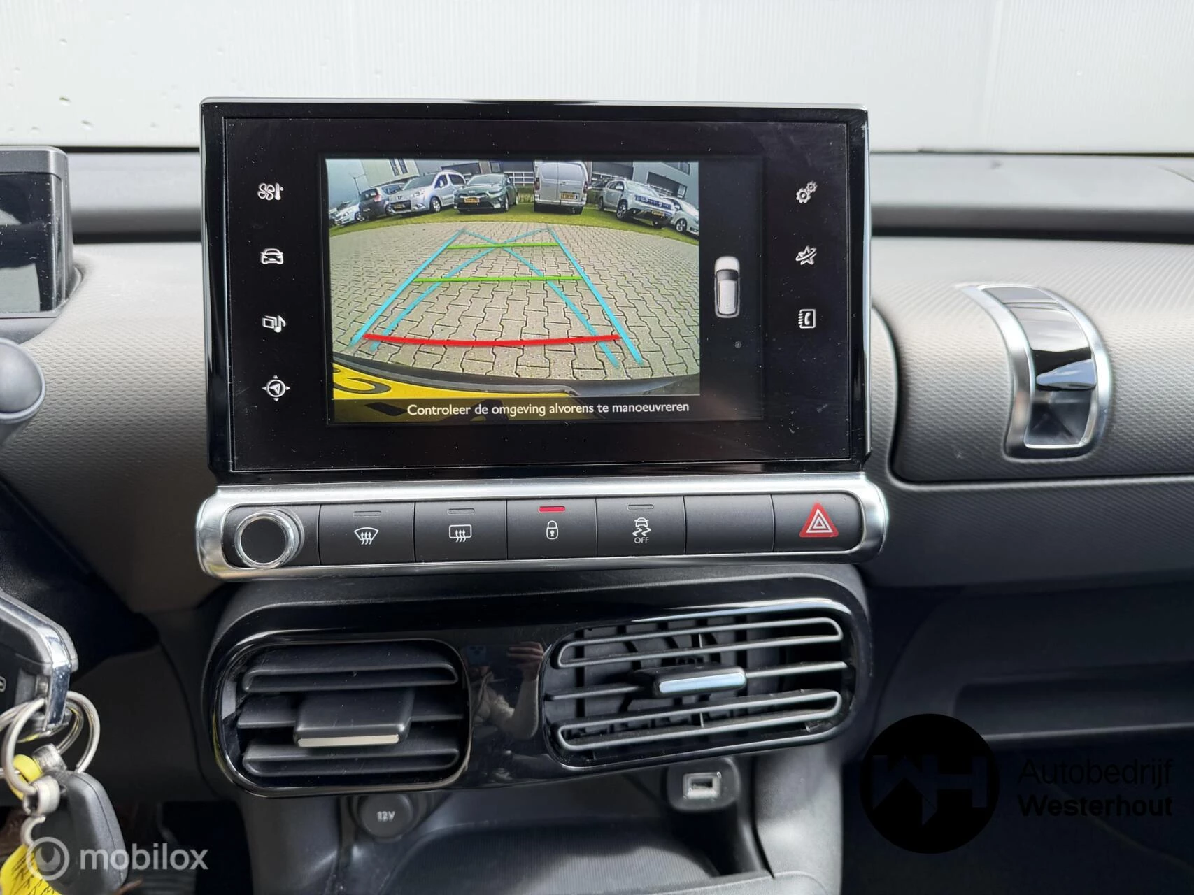 Hoofdafbeelding Citroën C4 Cactus