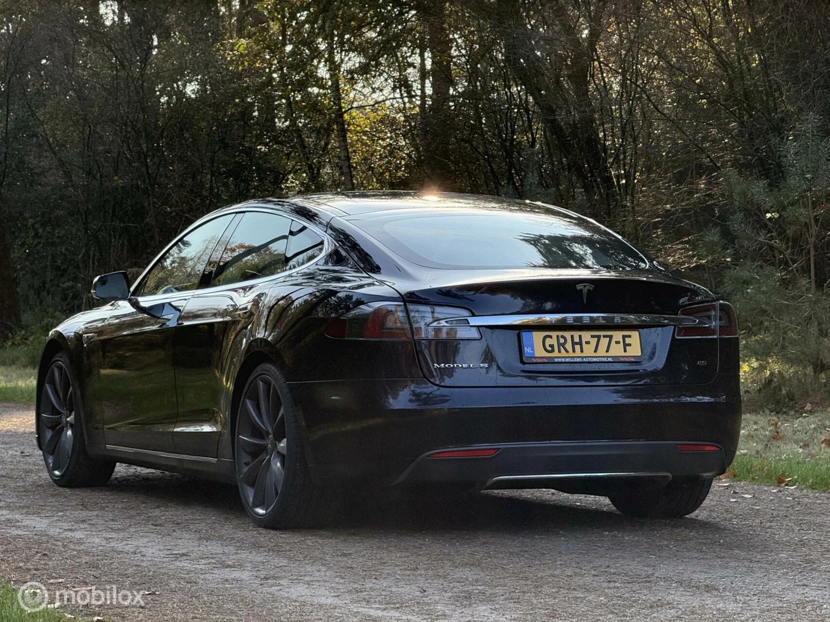 Hoofdafbeelding Tesla Model S